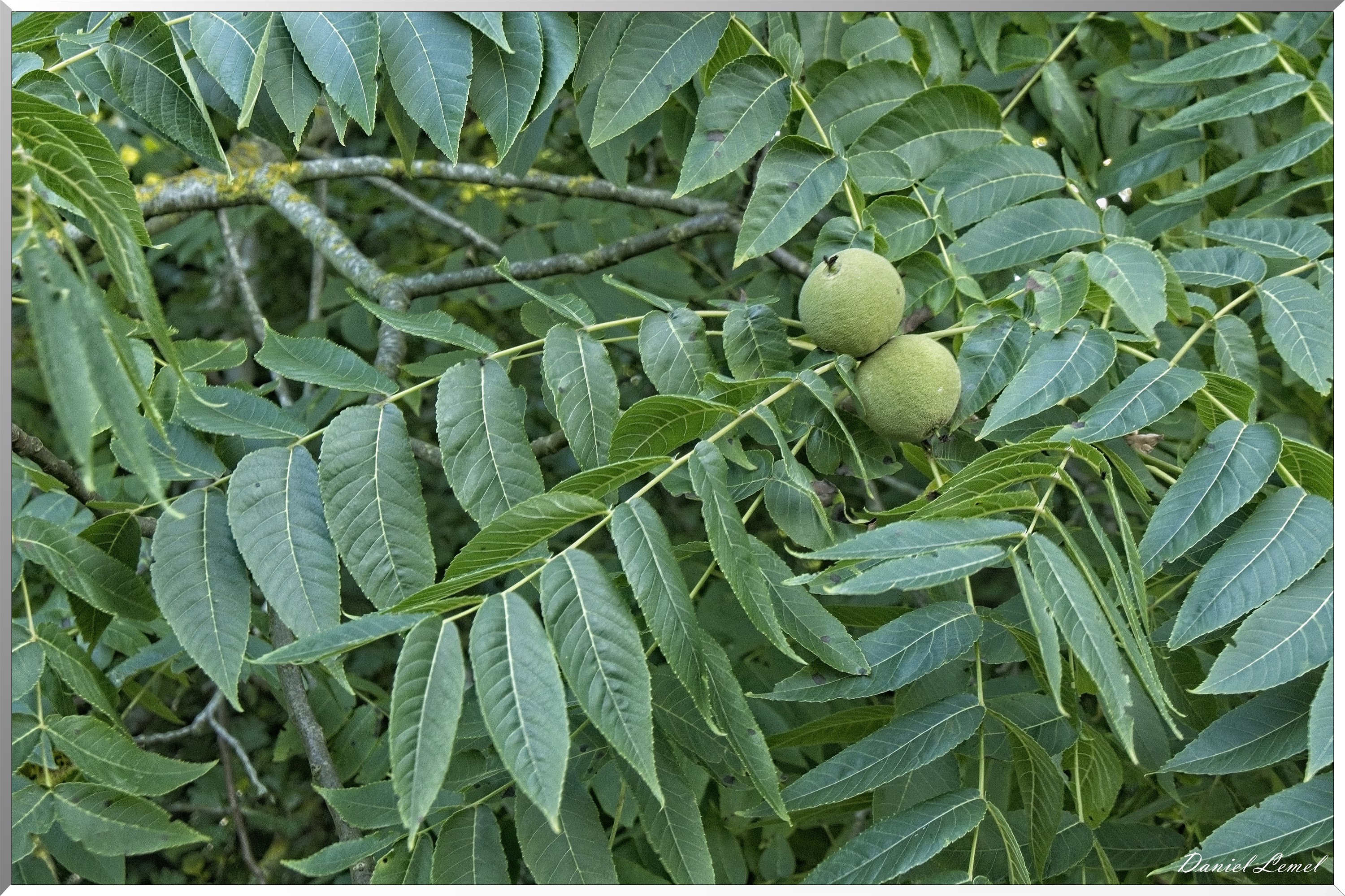 La Rive sous Venables