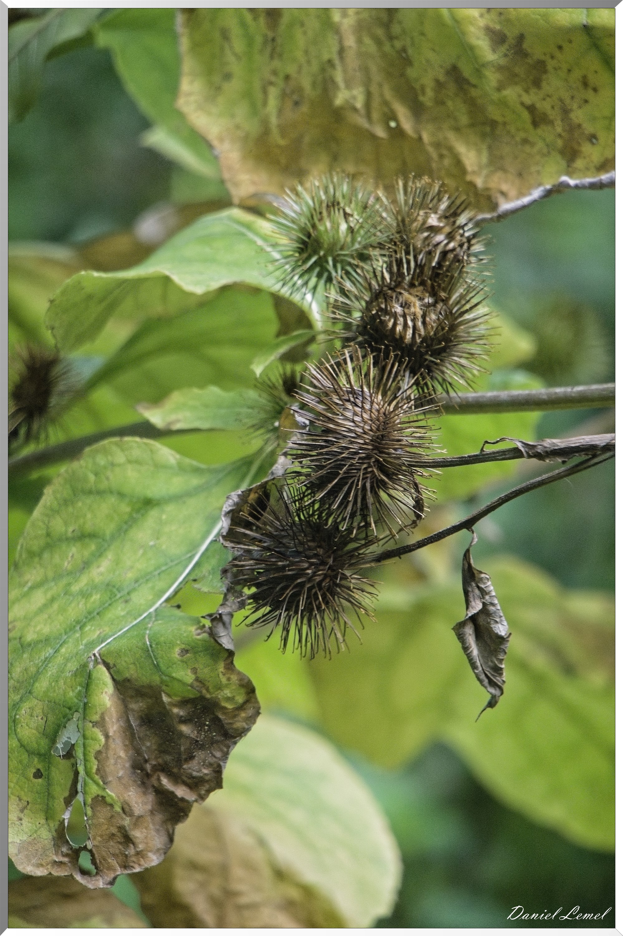 La Rive sous Venables