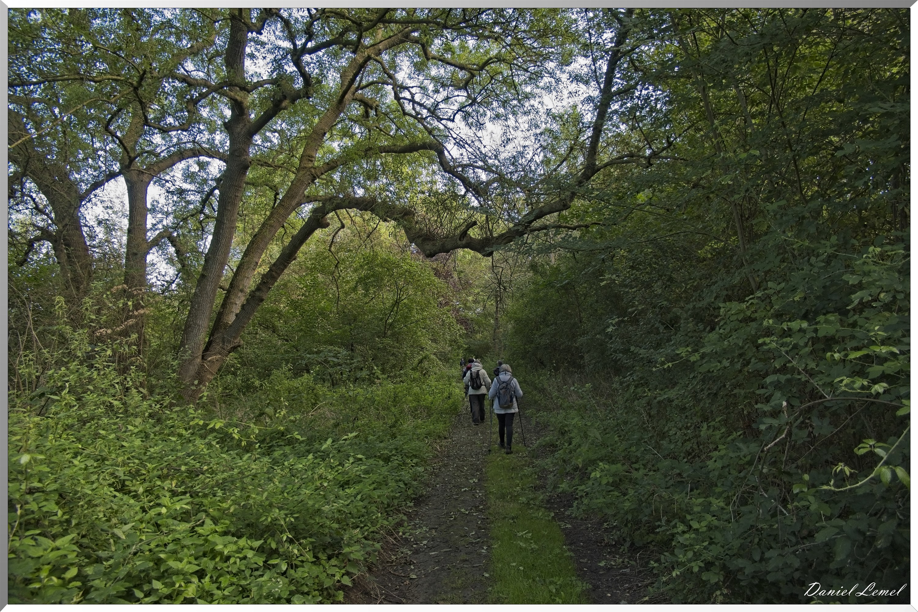 La Rive sous Venables