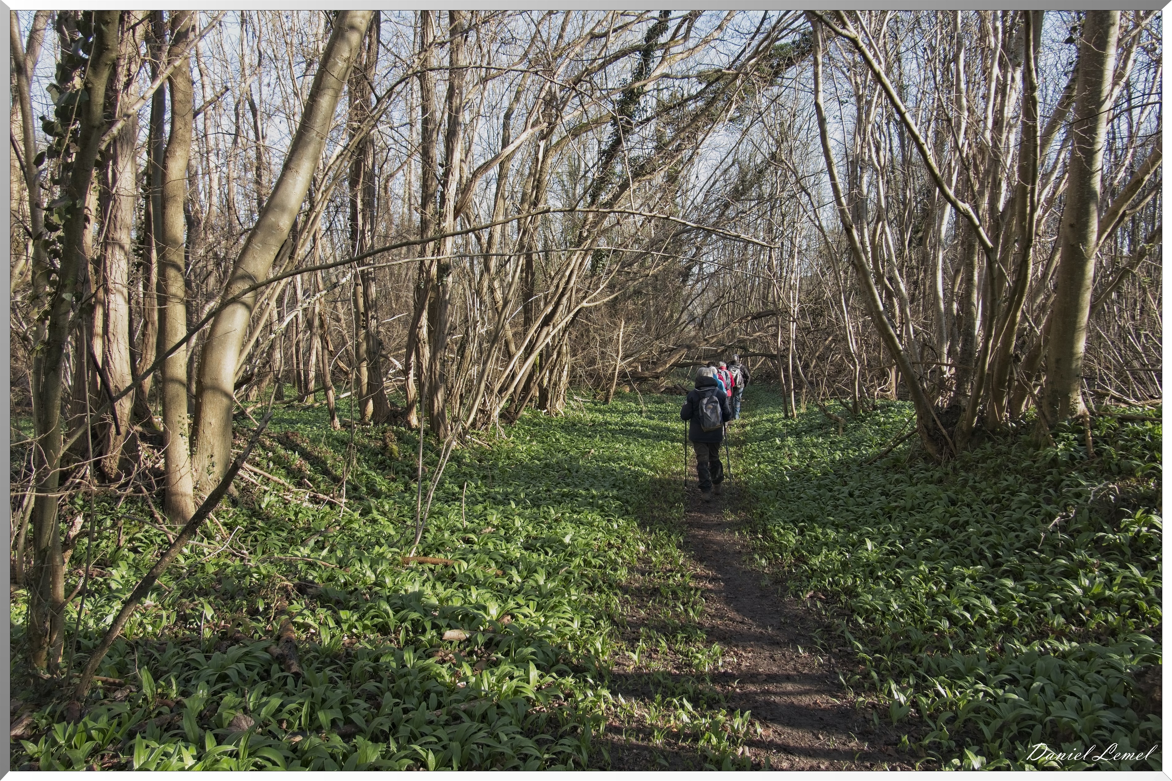 La-Chapelle-Réanville