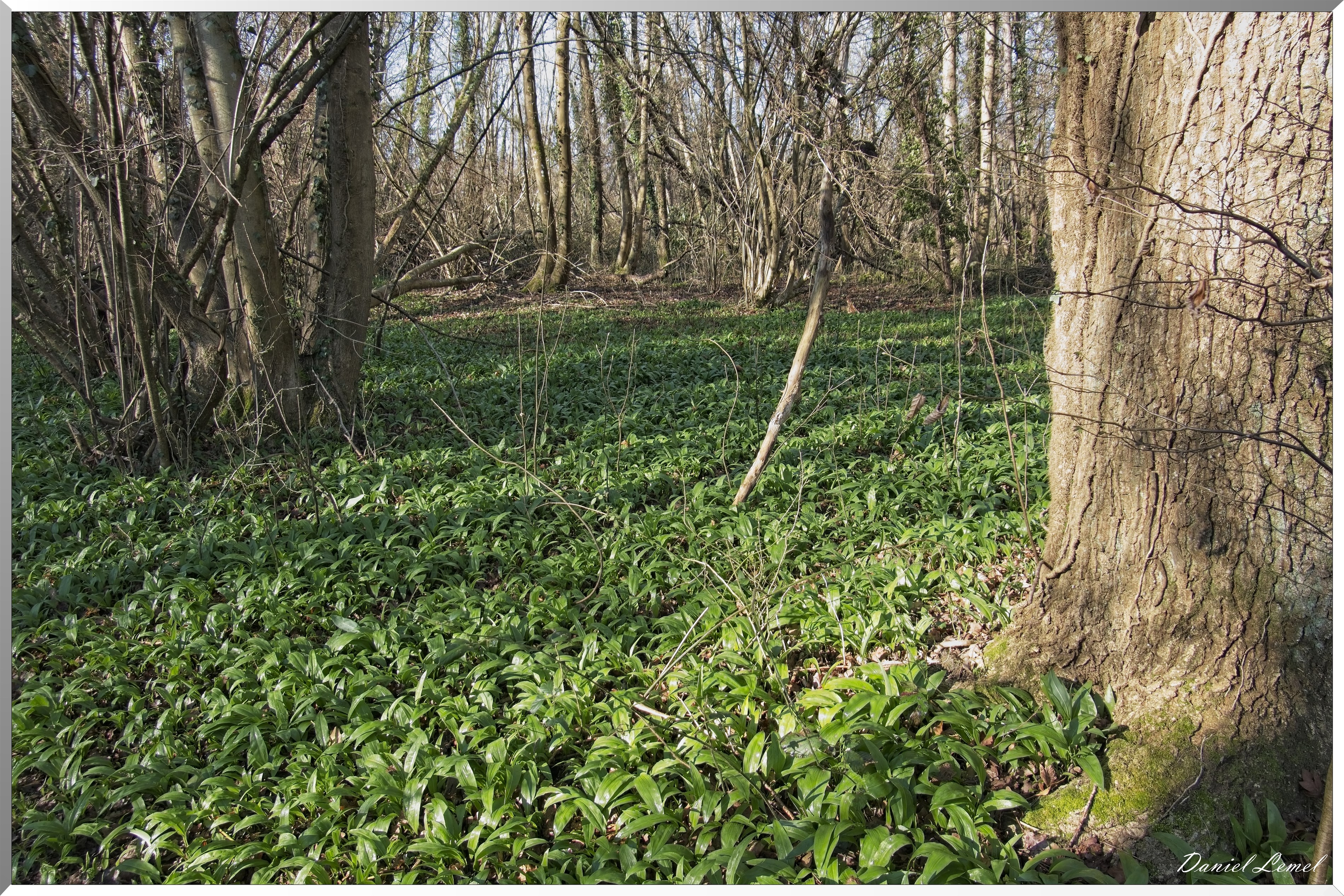 La-Chapelle-Réanville