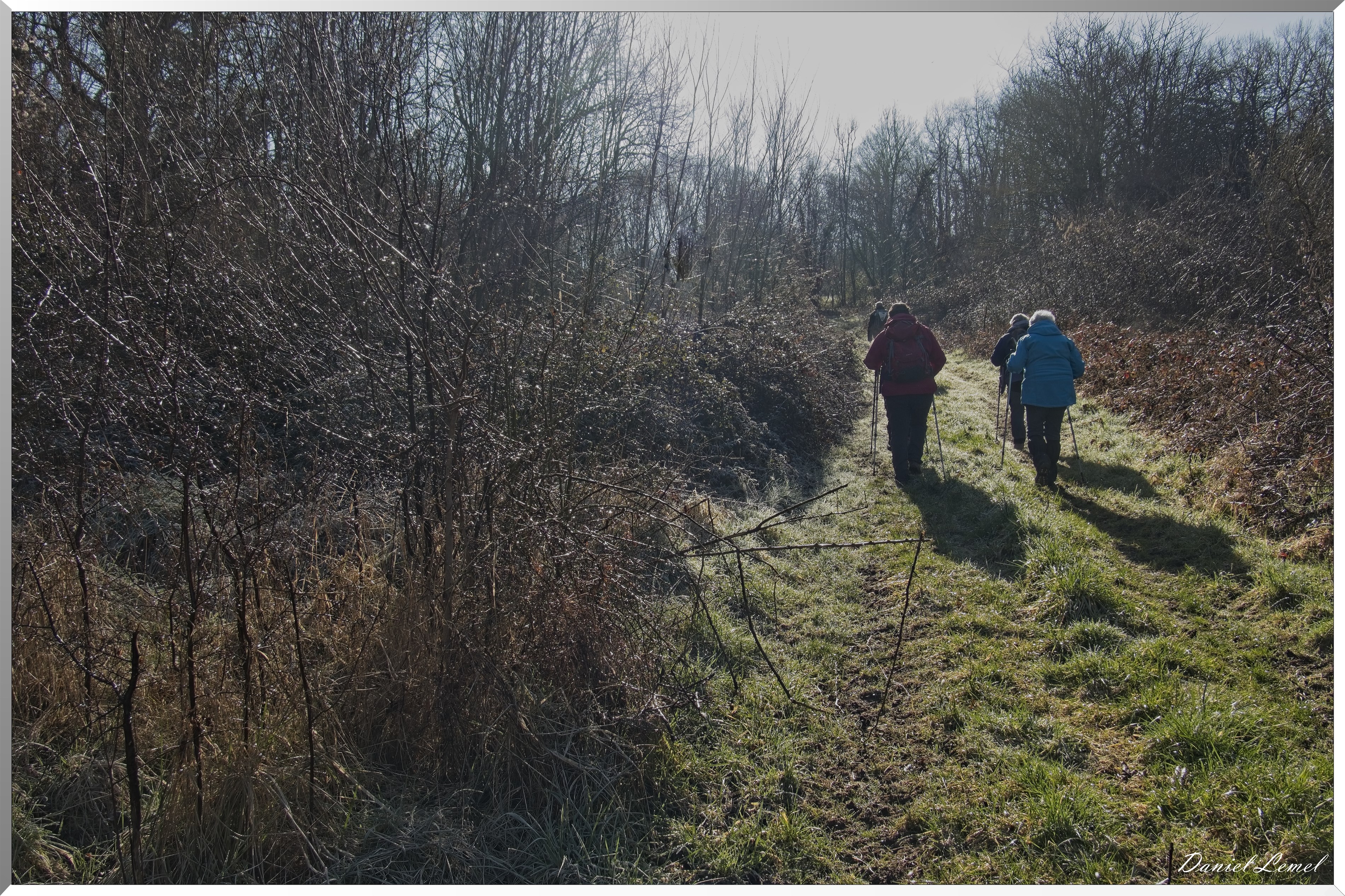 La-Chapelle-Réanville