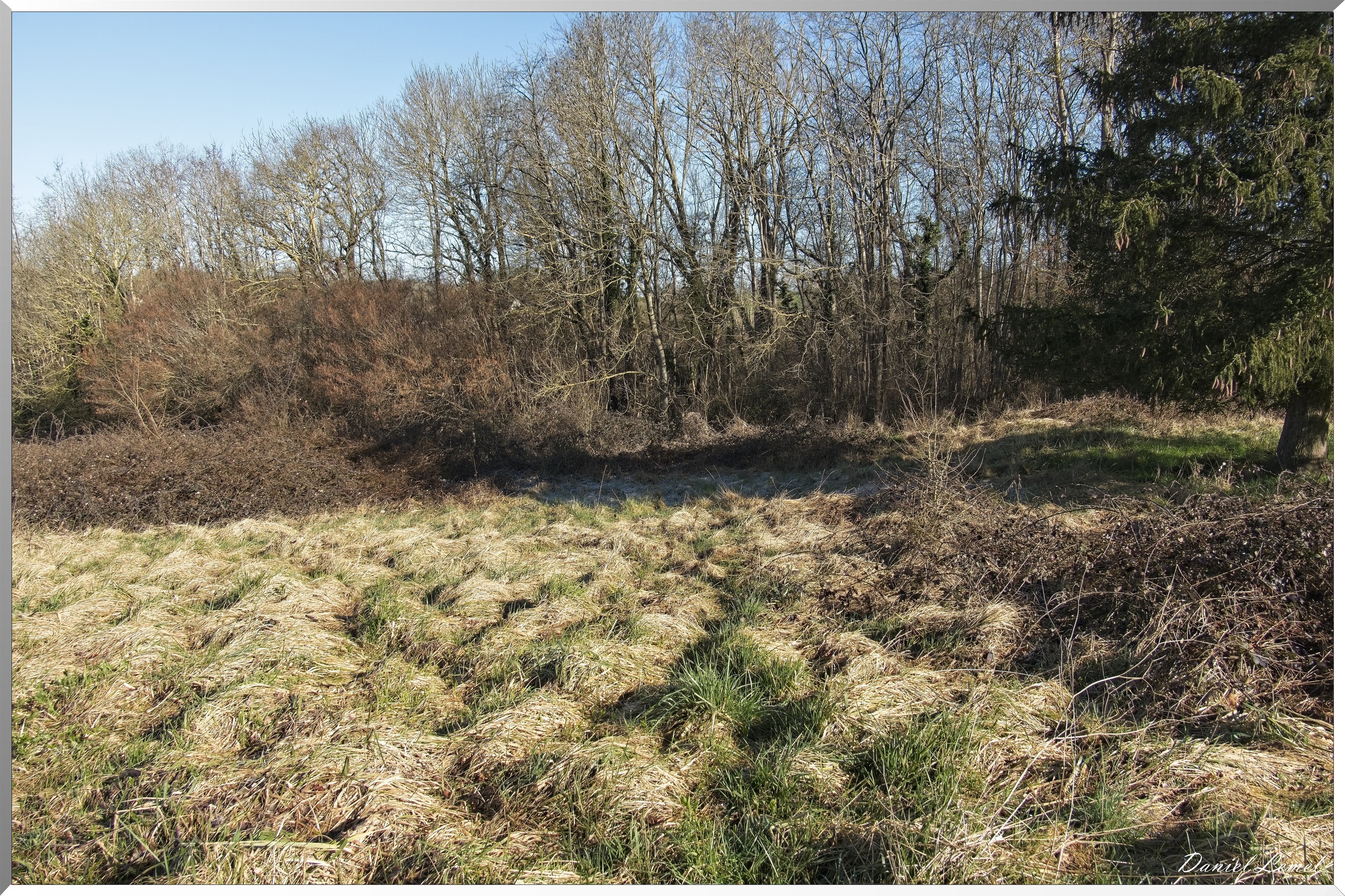 La-Chapelle-Réanville
