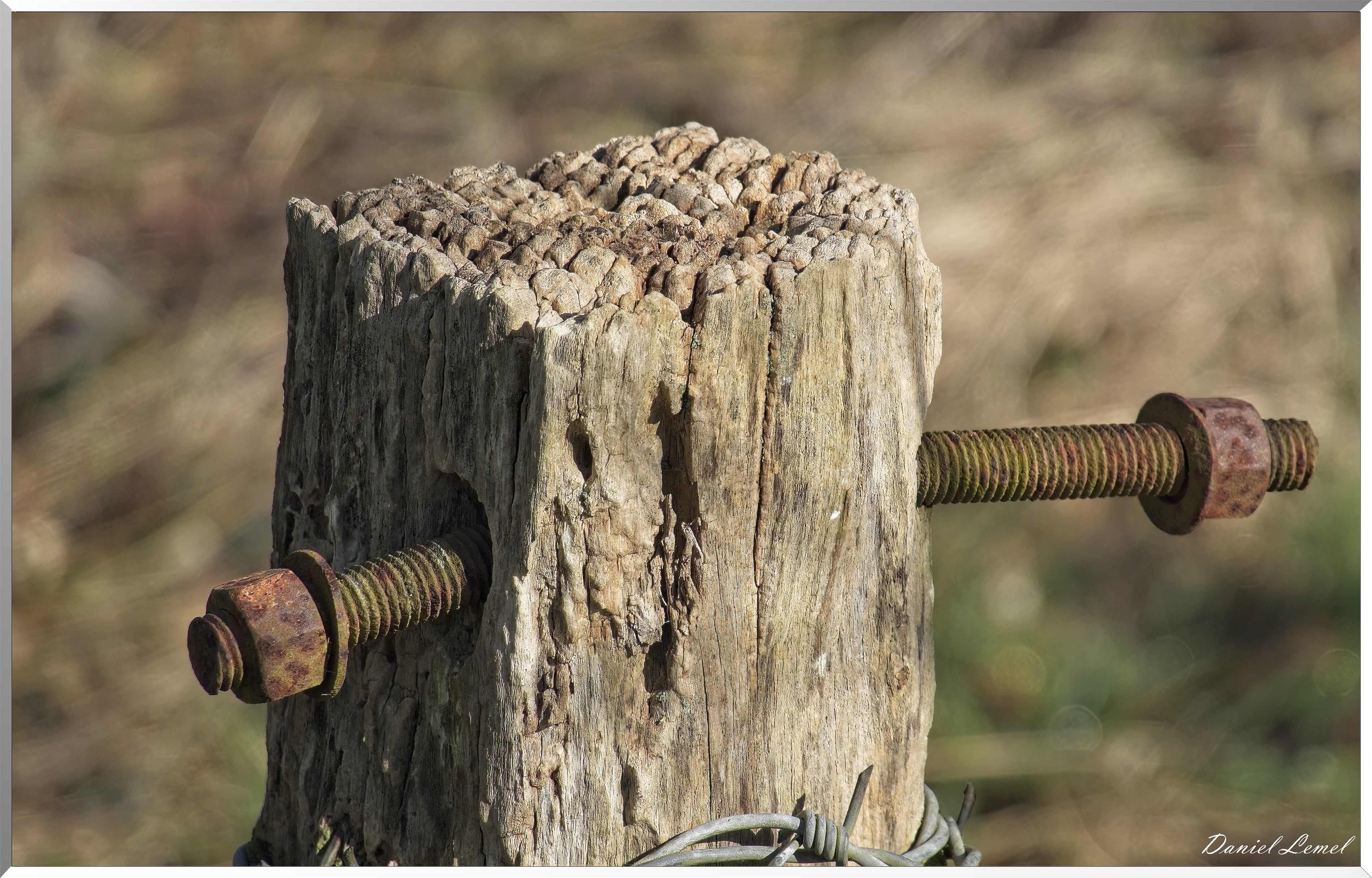 La-Chapelle-Réanville