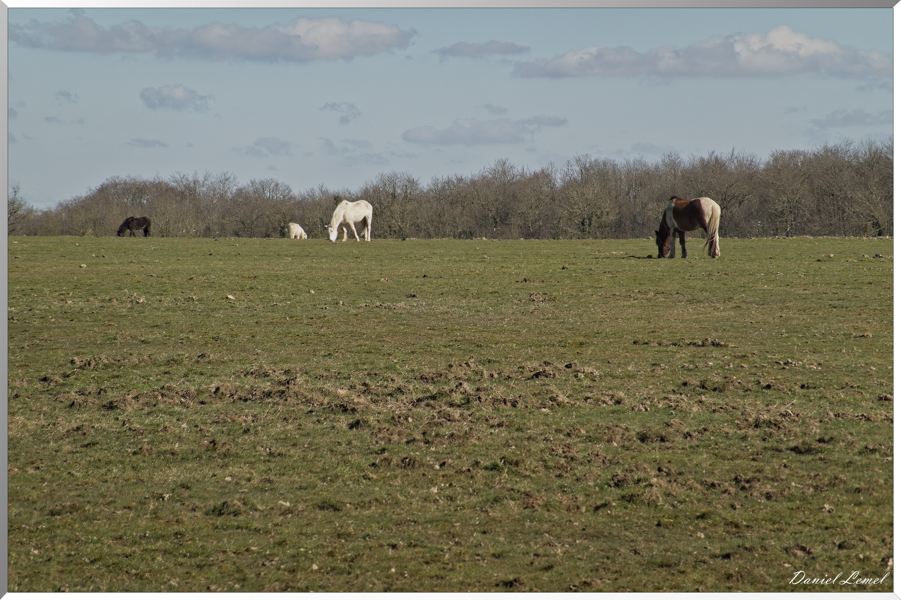La-Chapelle-Réanville