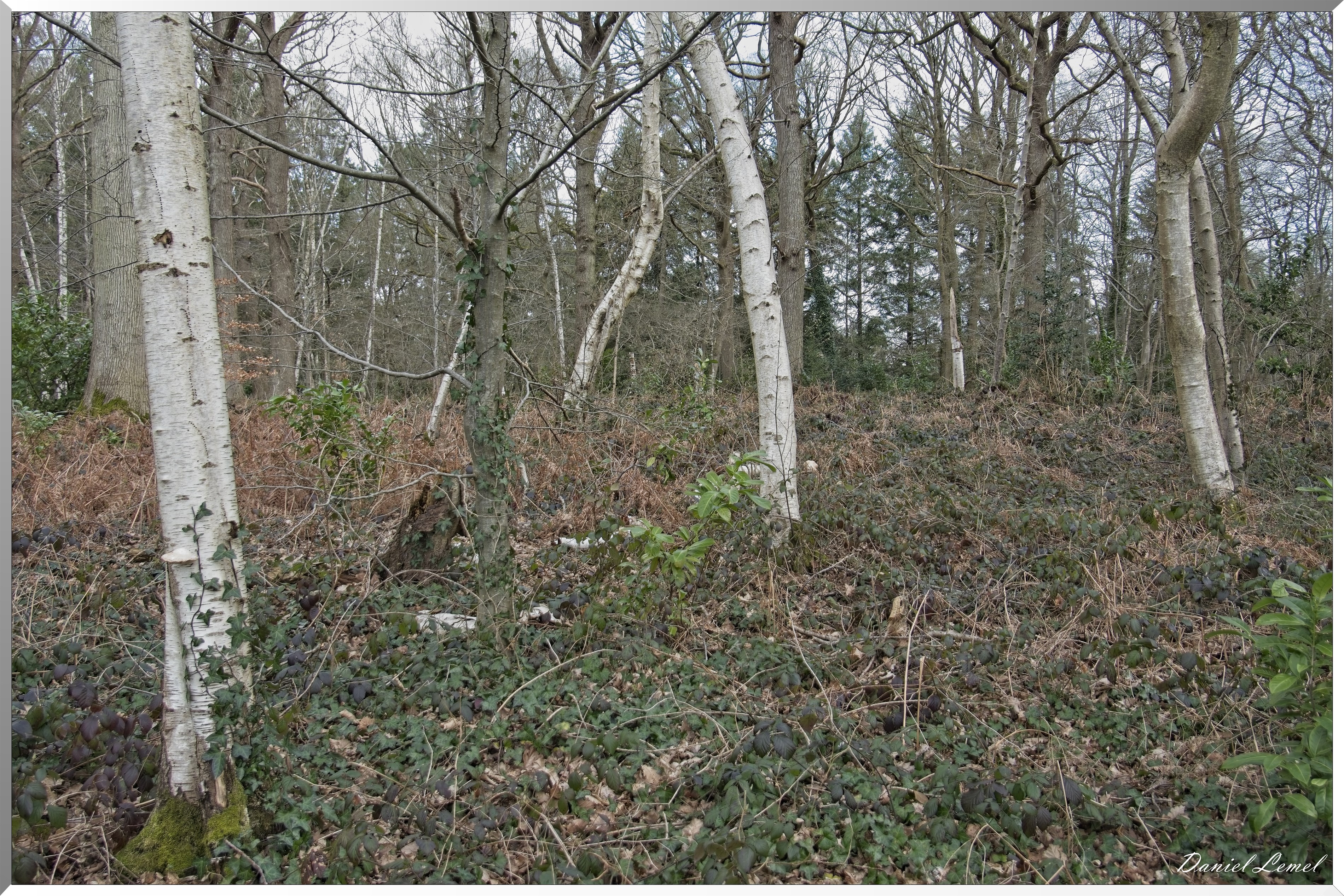 Bois-Jérôme-St-Ouen