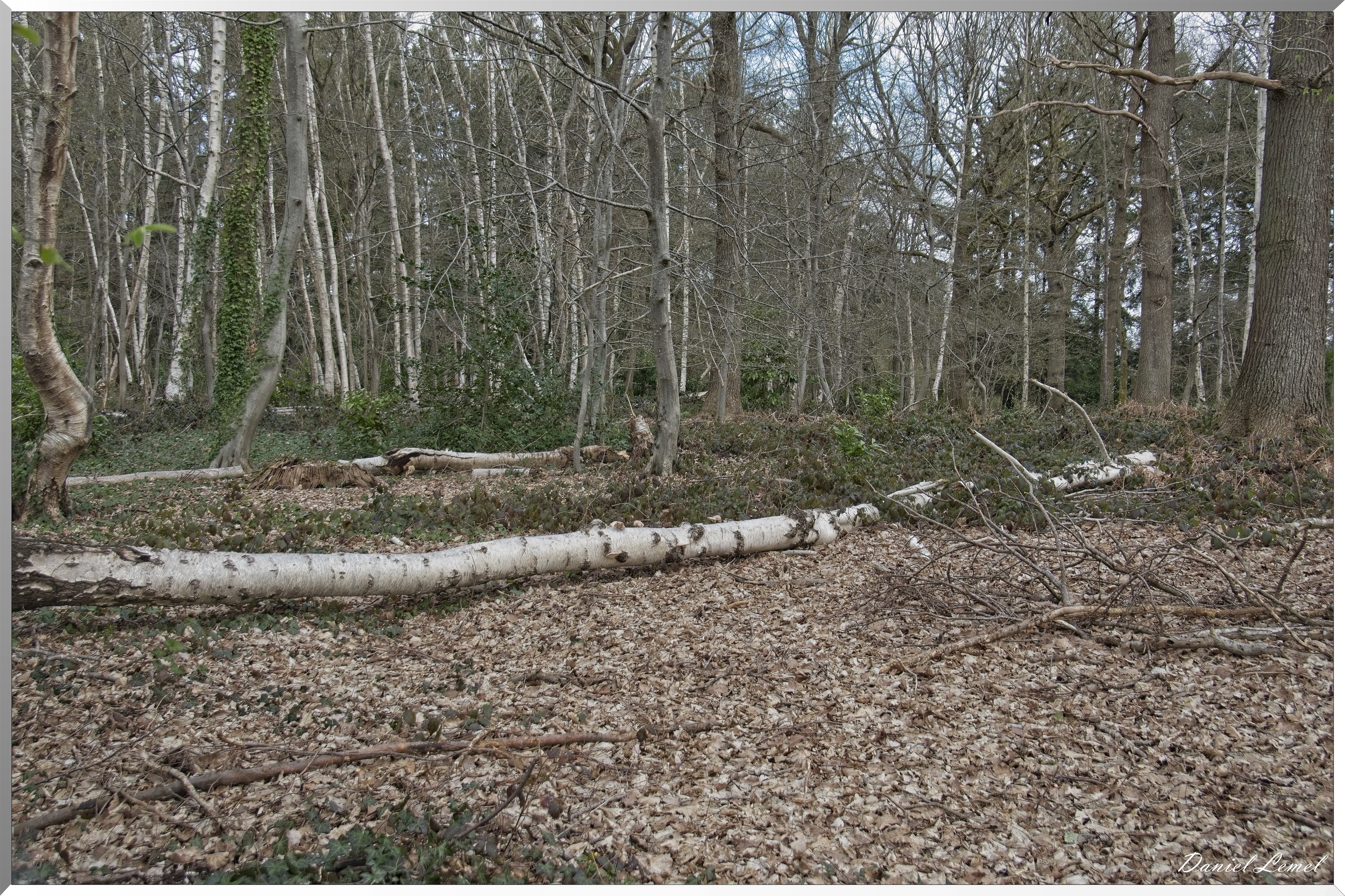 Bois-Jérôme-St-Ouen