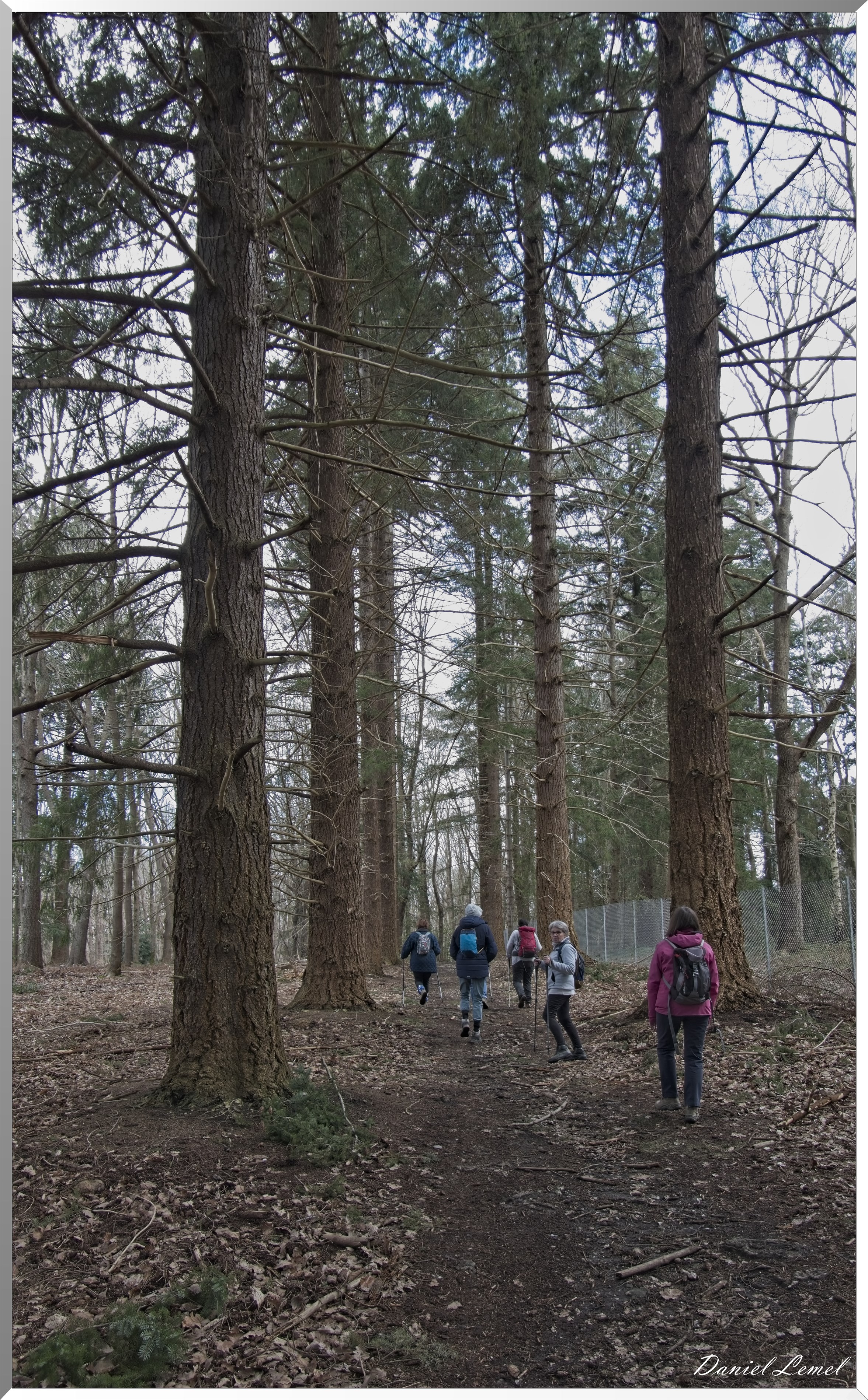 Bois-Jérôme-St-Ouen