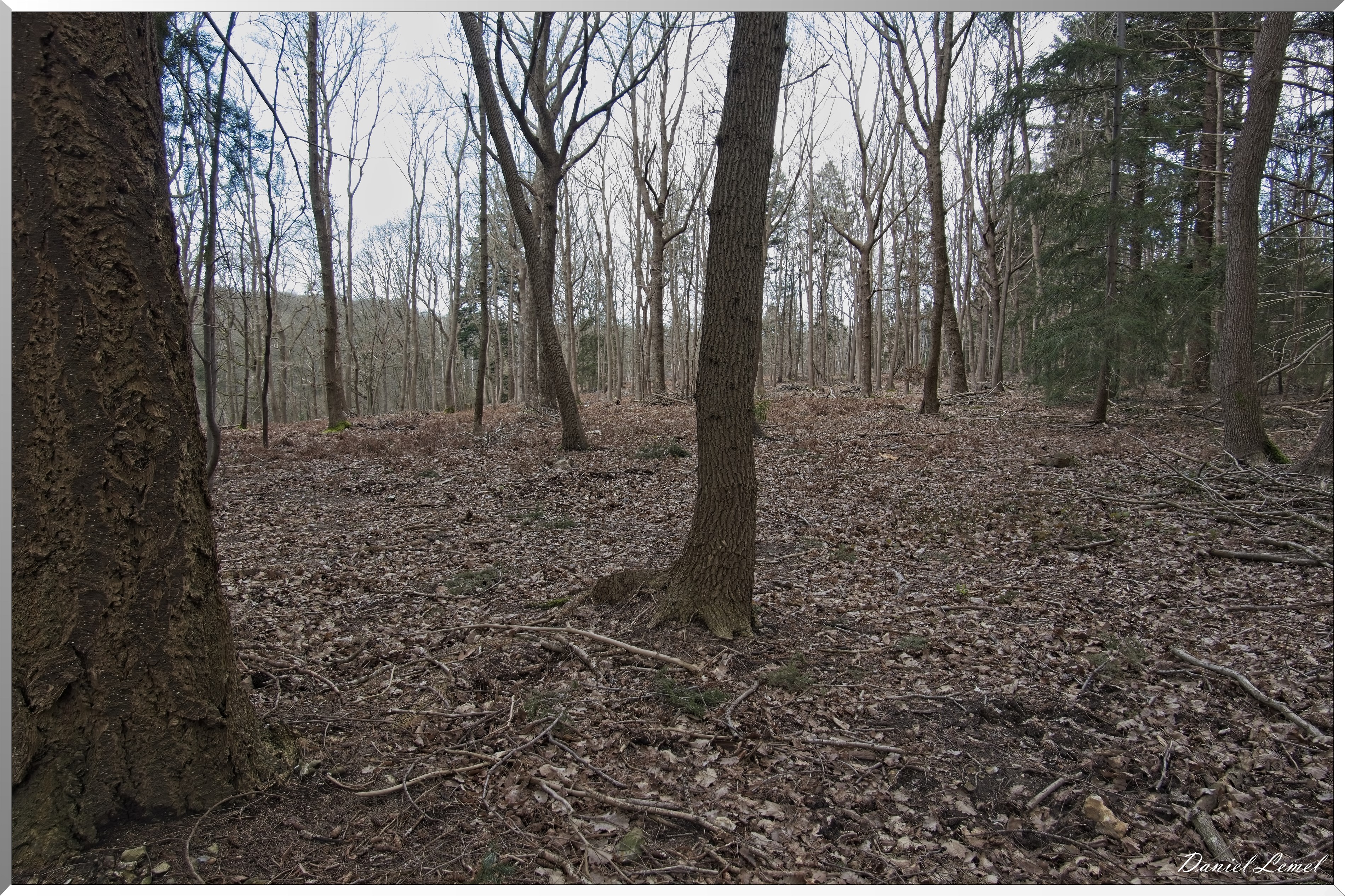 Bois-Jérôme-St-Ouen