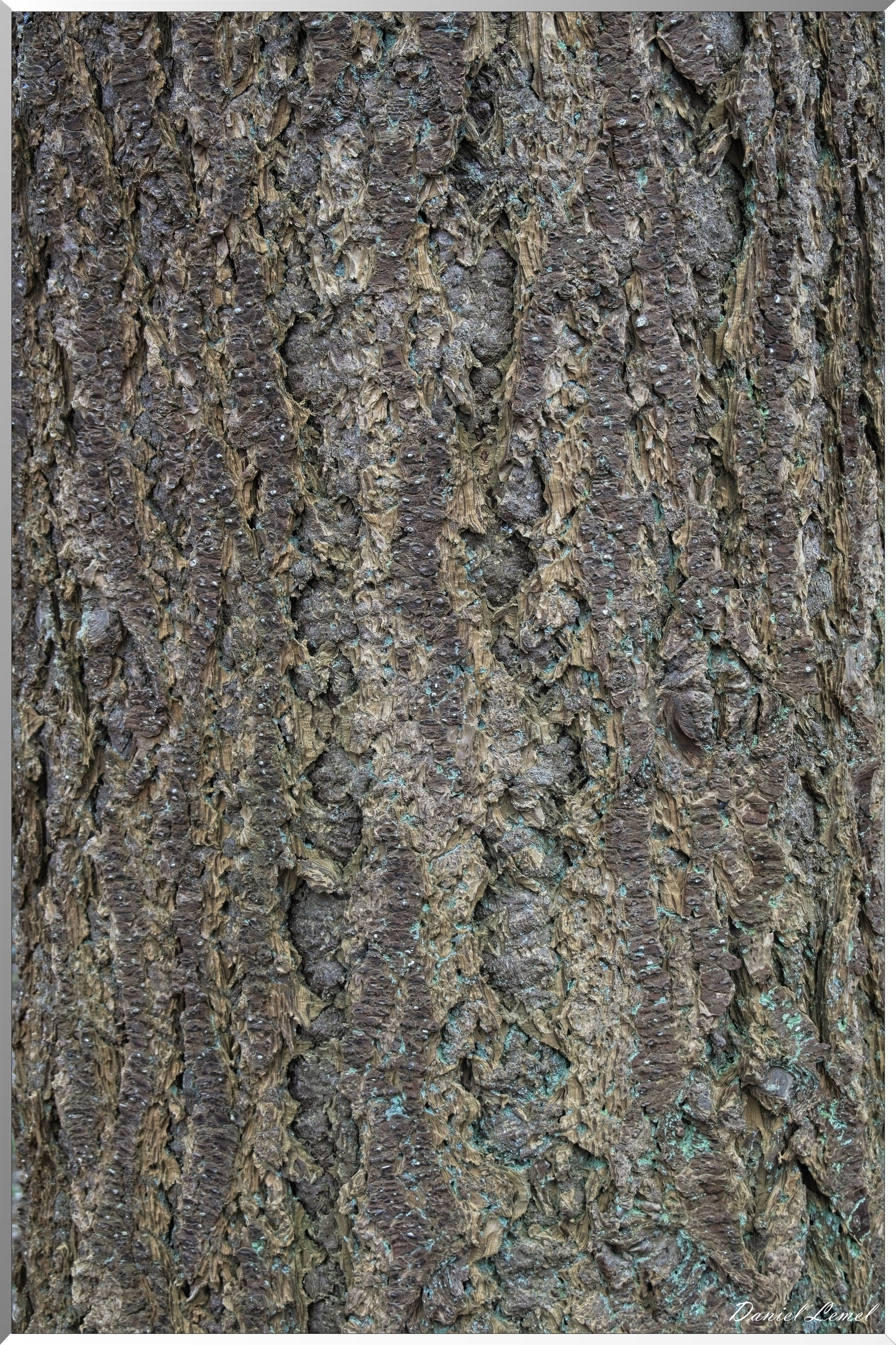 Bois-Jérôme-St-Ouen