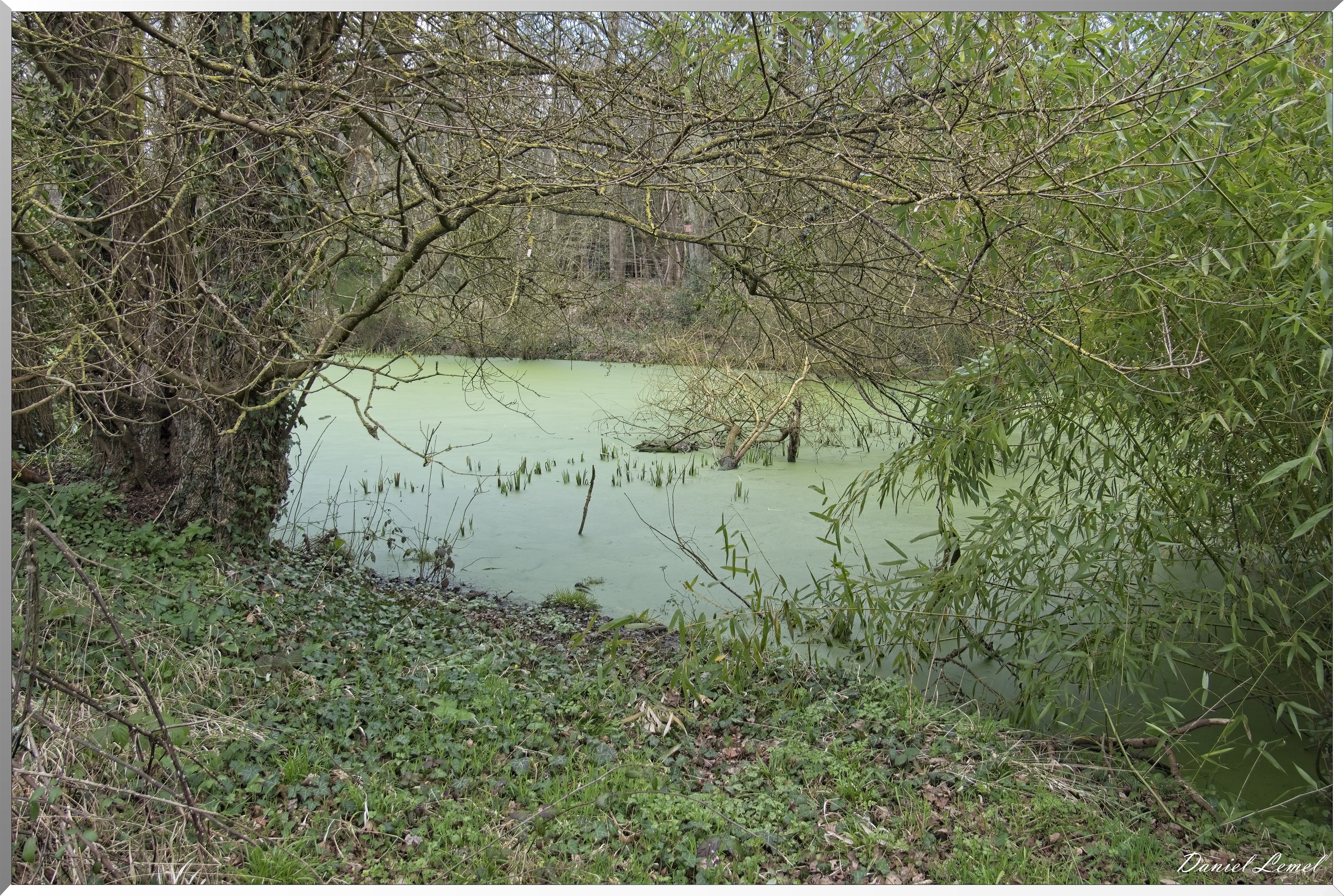 Bois-Jérôme-St-Ouen