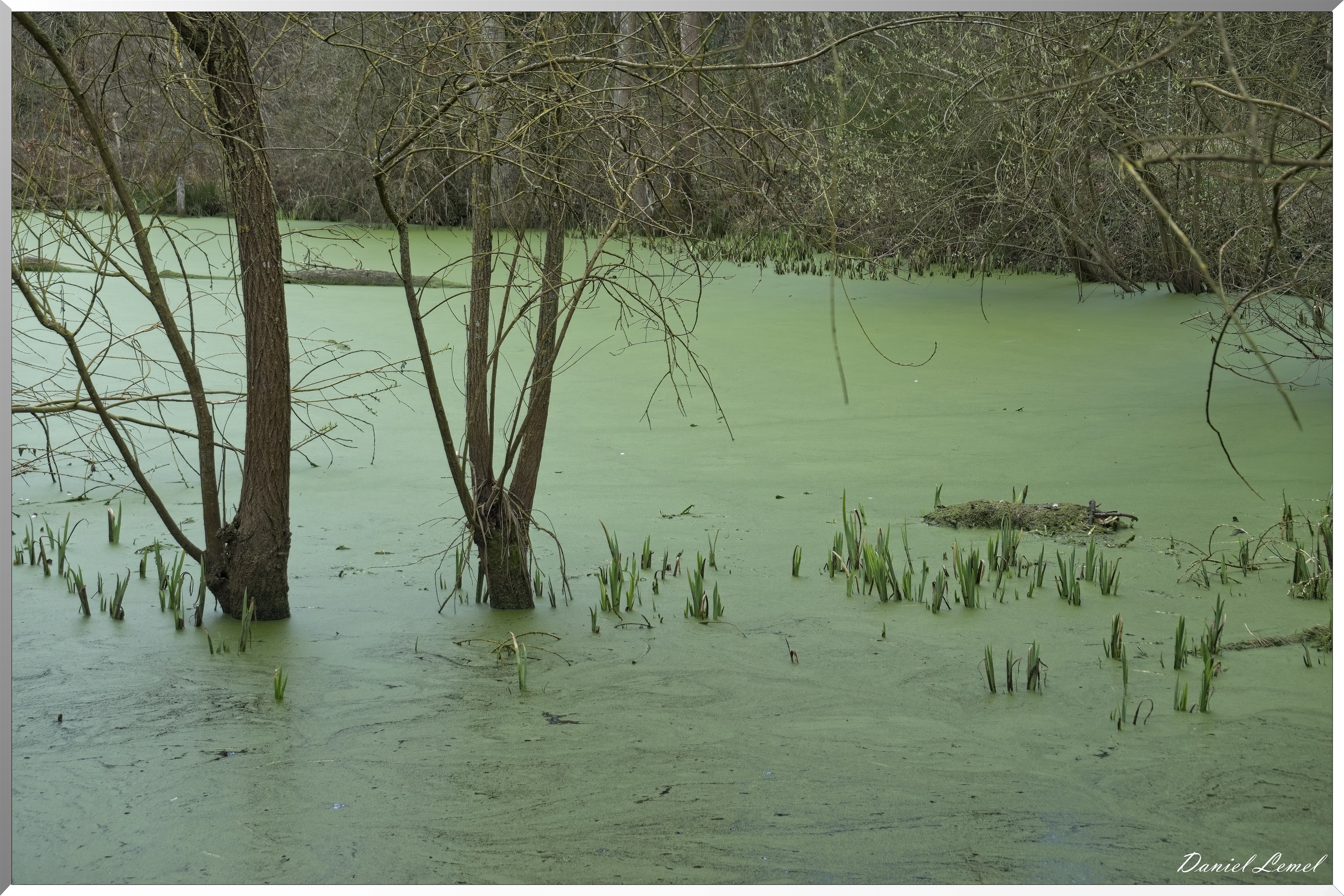 Bois-Jérôme-St-Ouen