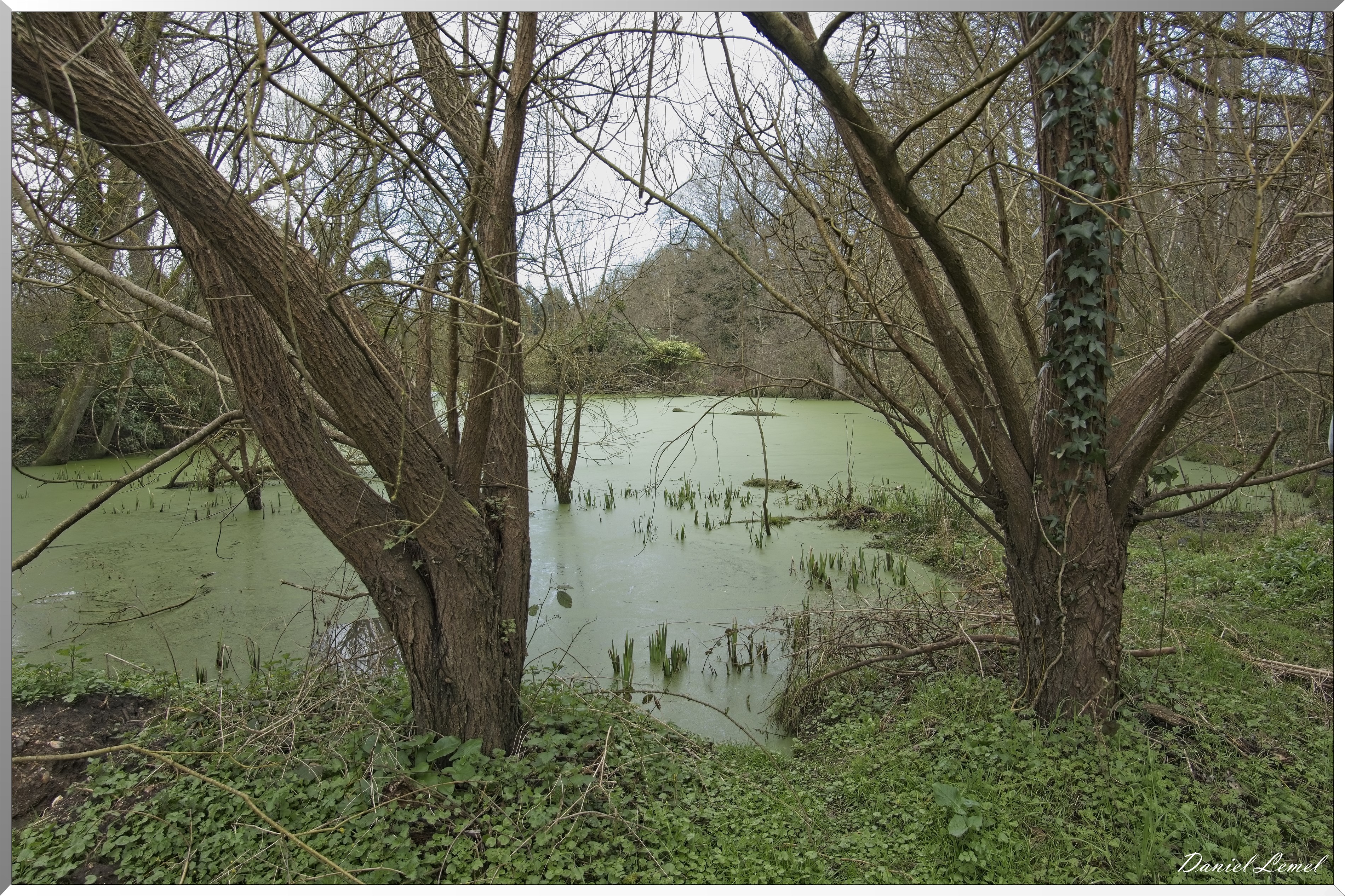 Bois-Jérôme-St-Ouen