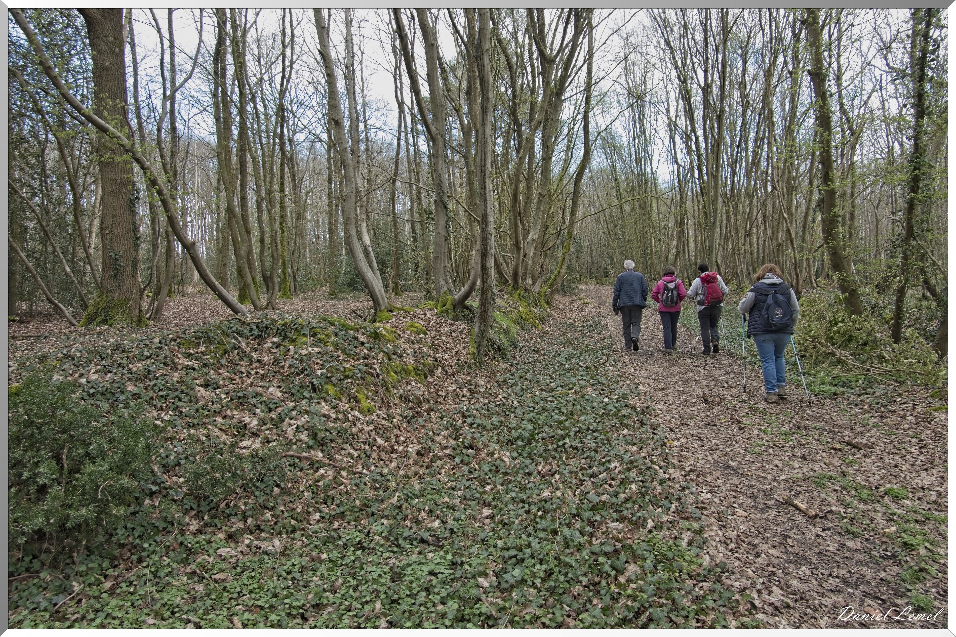 Bois-Jérôme-St-Ouen