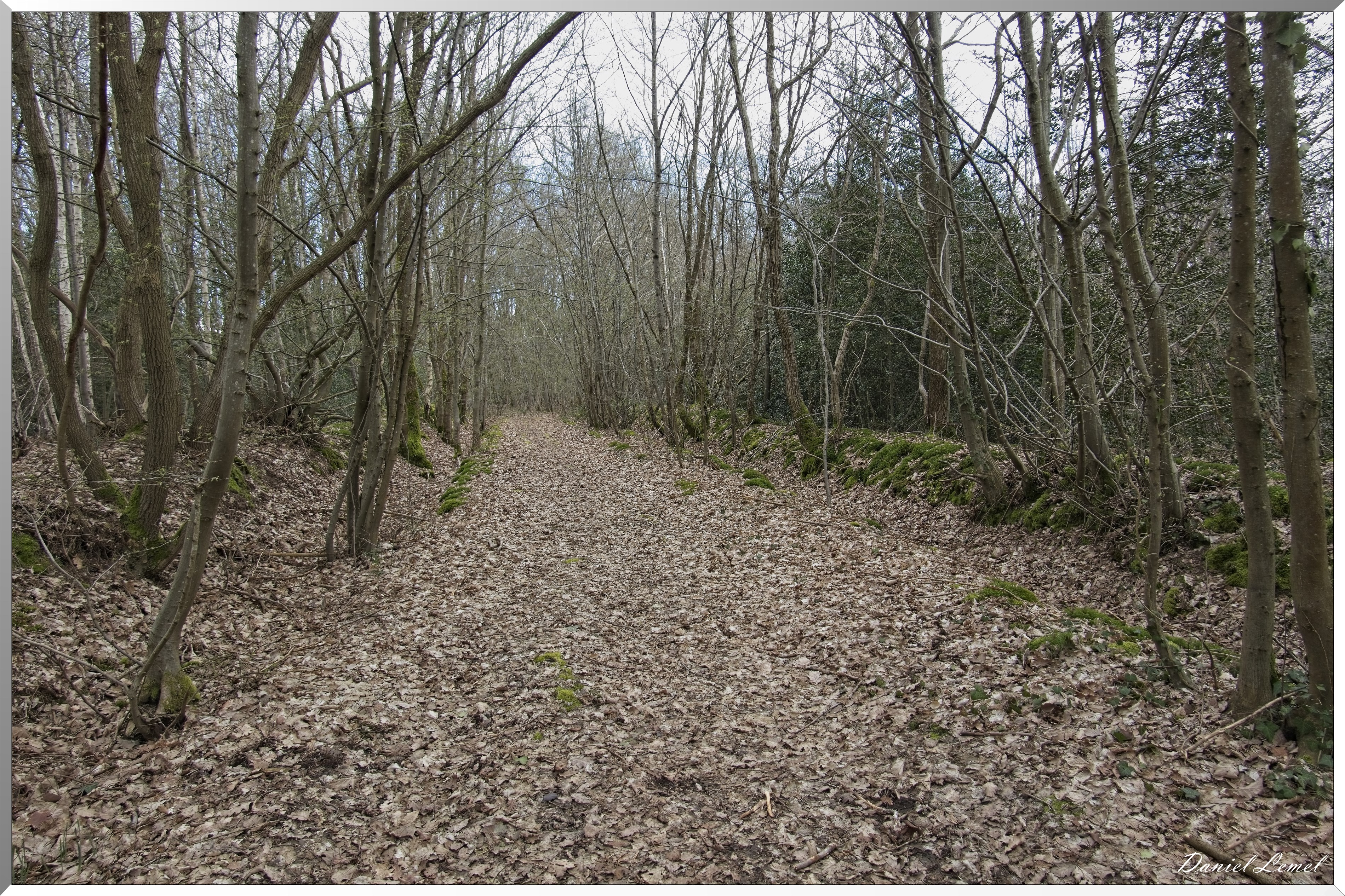 Bois-Jérôme-St-Ouen