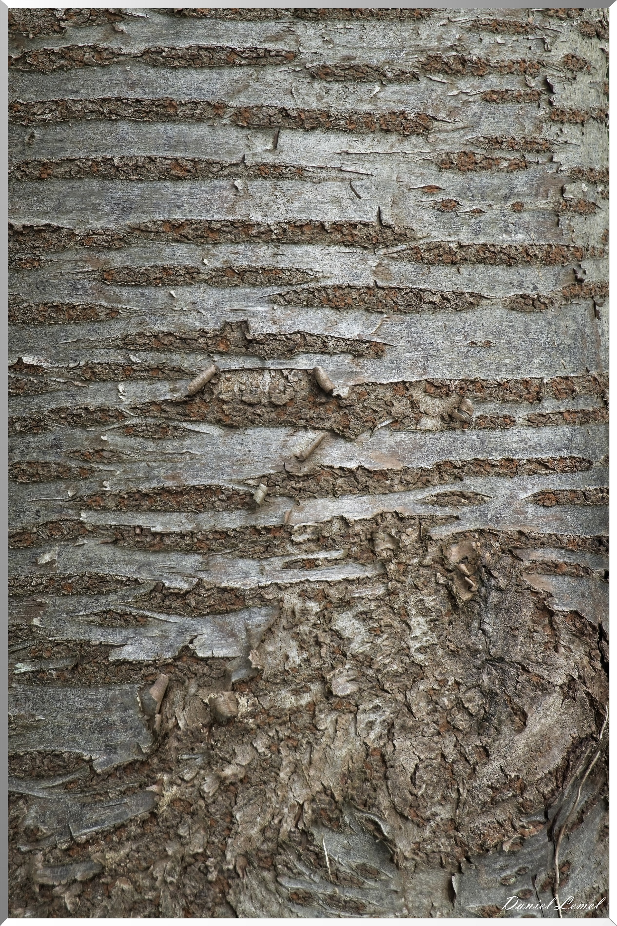 Bois-Jérôme-St-Ouen