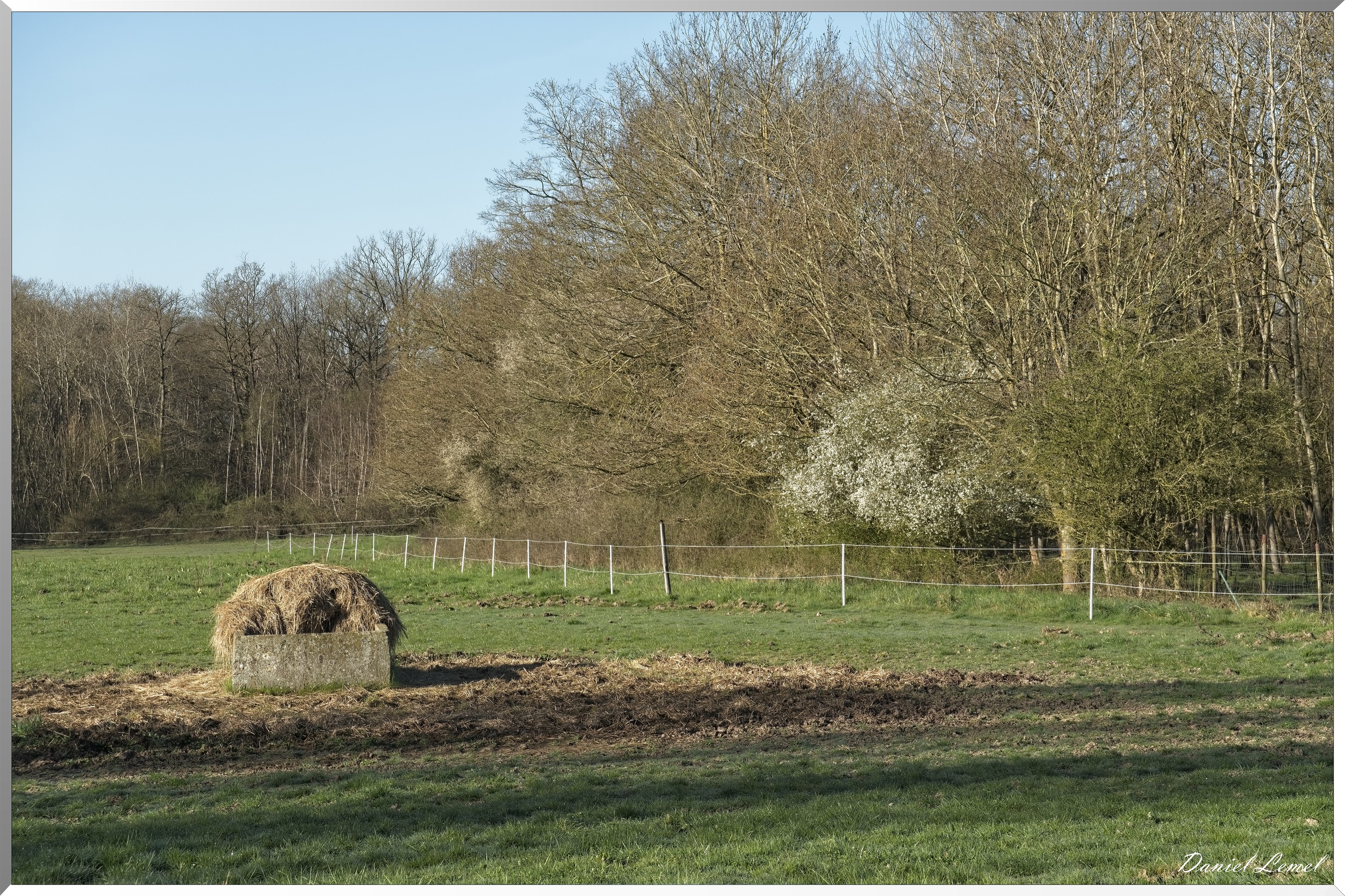 La-Chapelle-Réanville