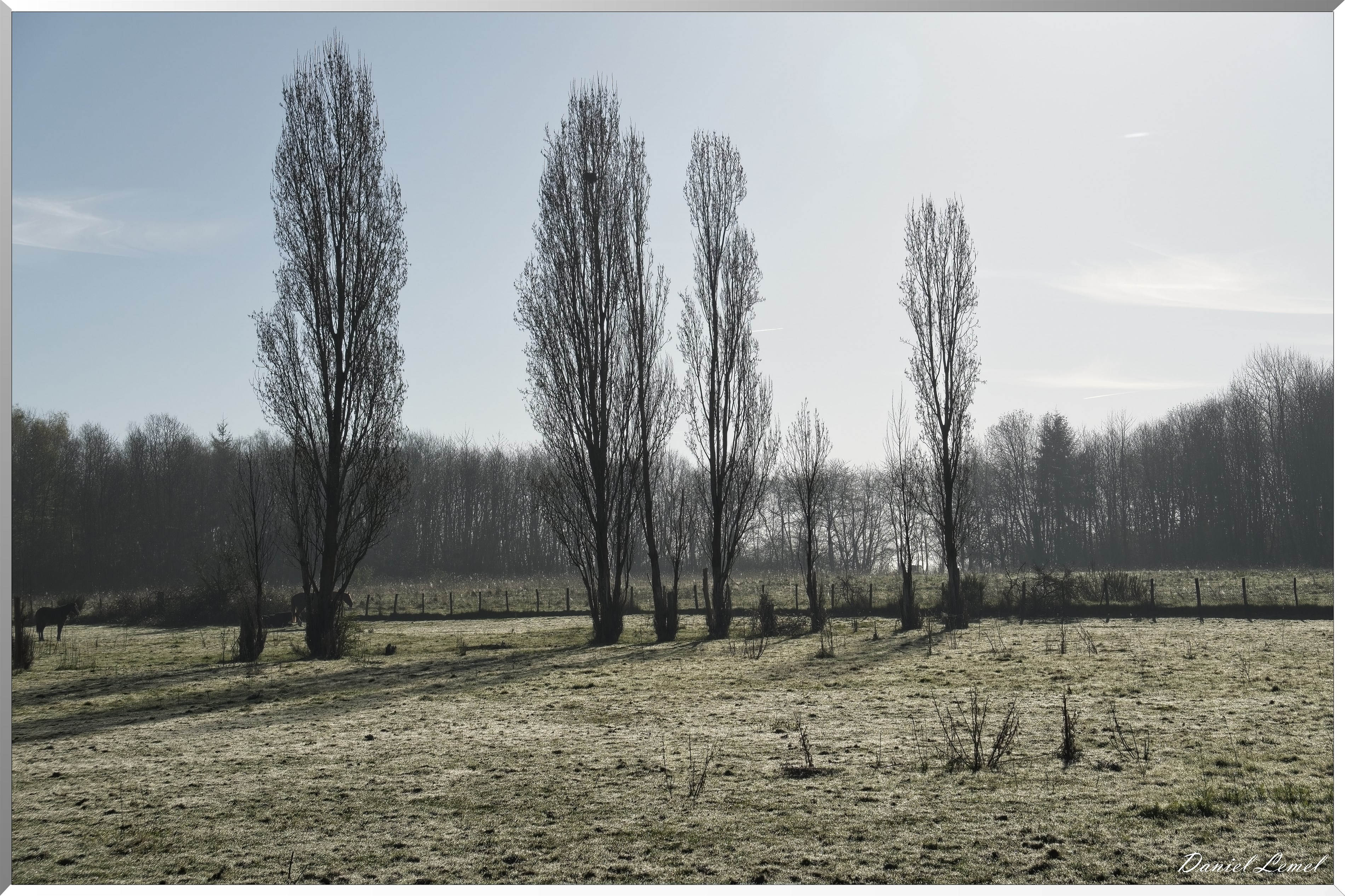 La-Chapelle-Réanville