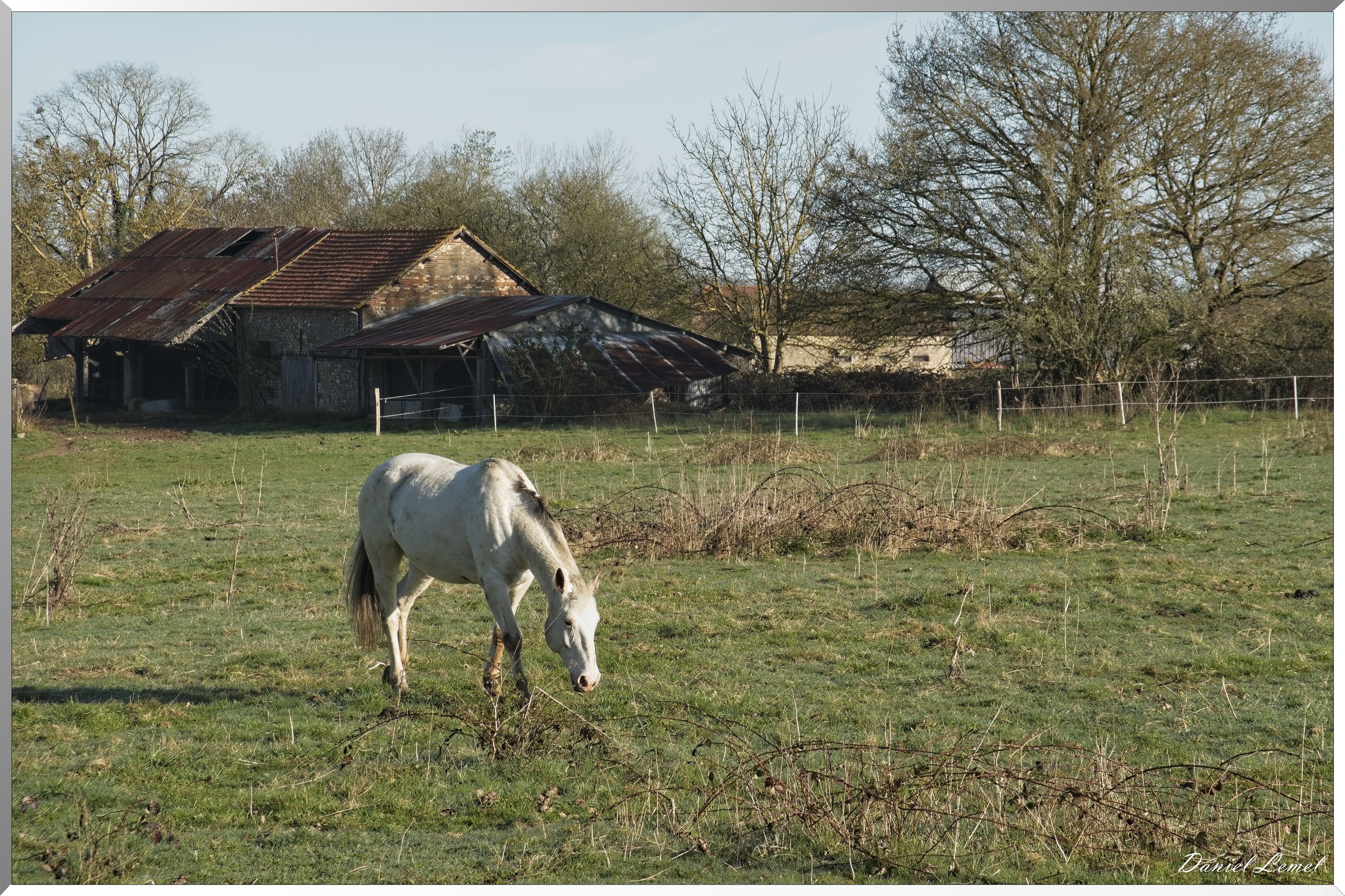La-Chapelle-Réanville