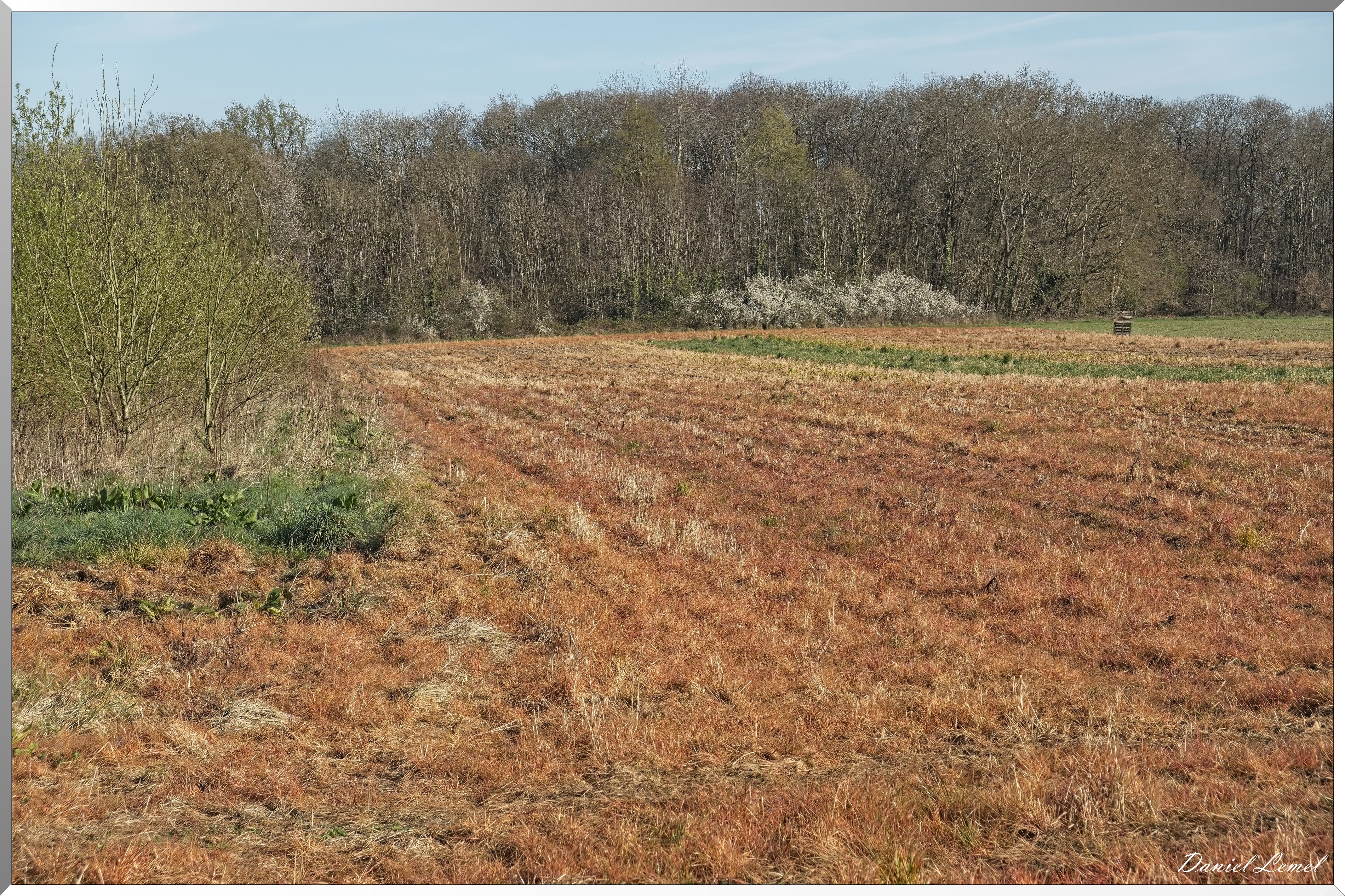 La-Chapelle-Réanville