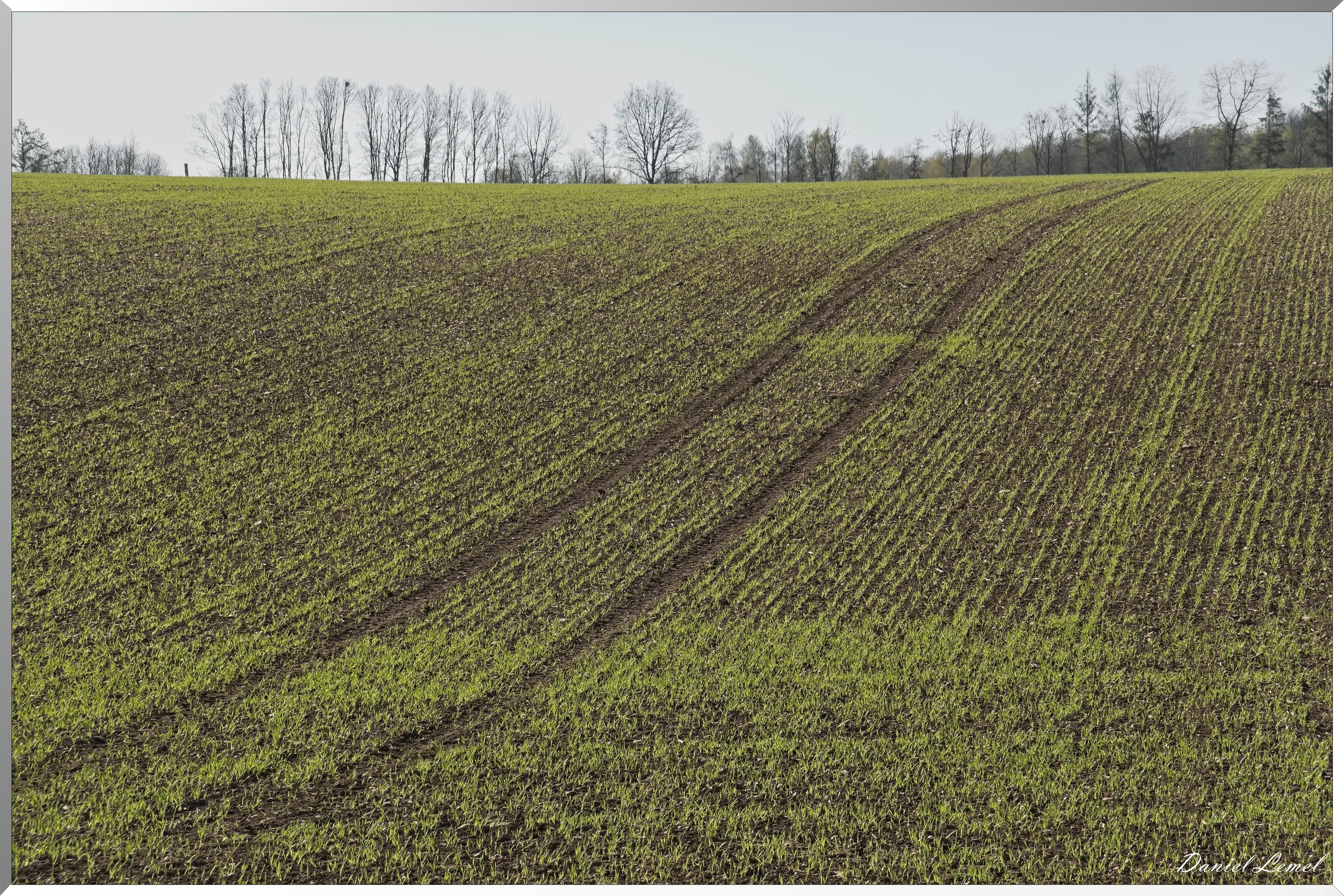 La-Chapelle-Réanville