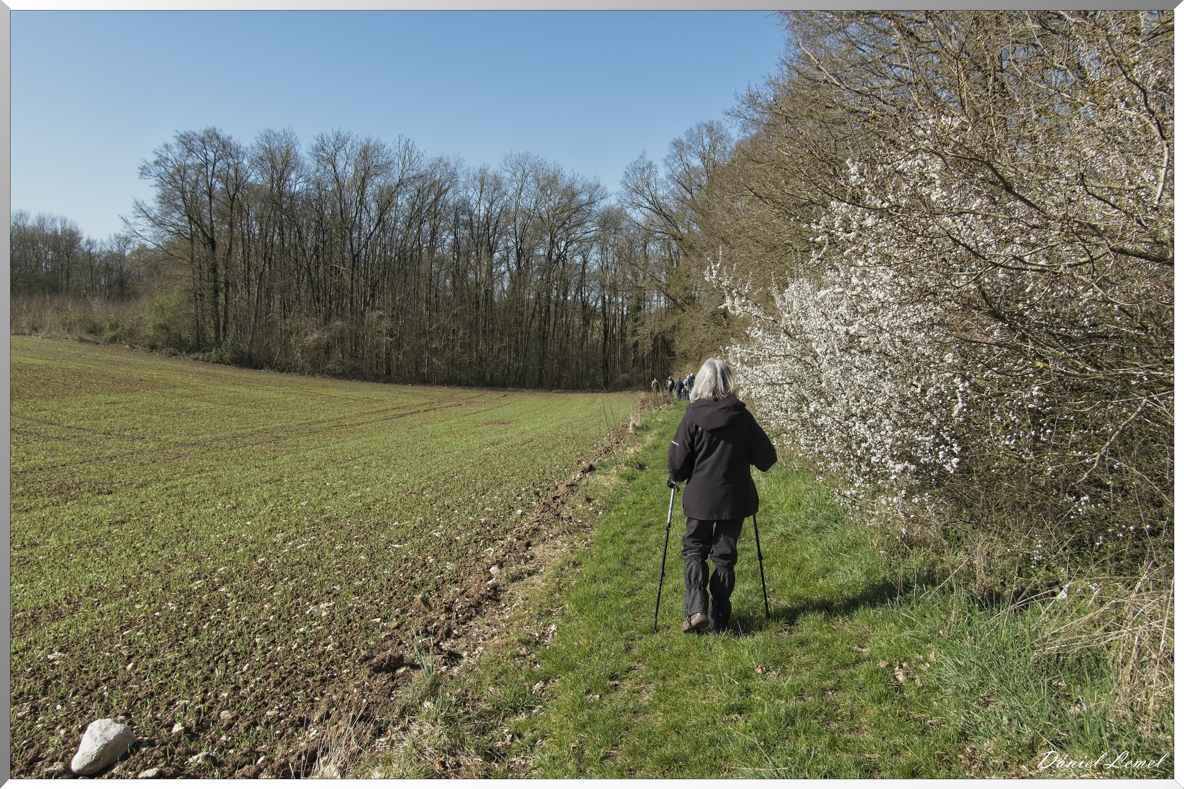 La-Chapelle-Réanville