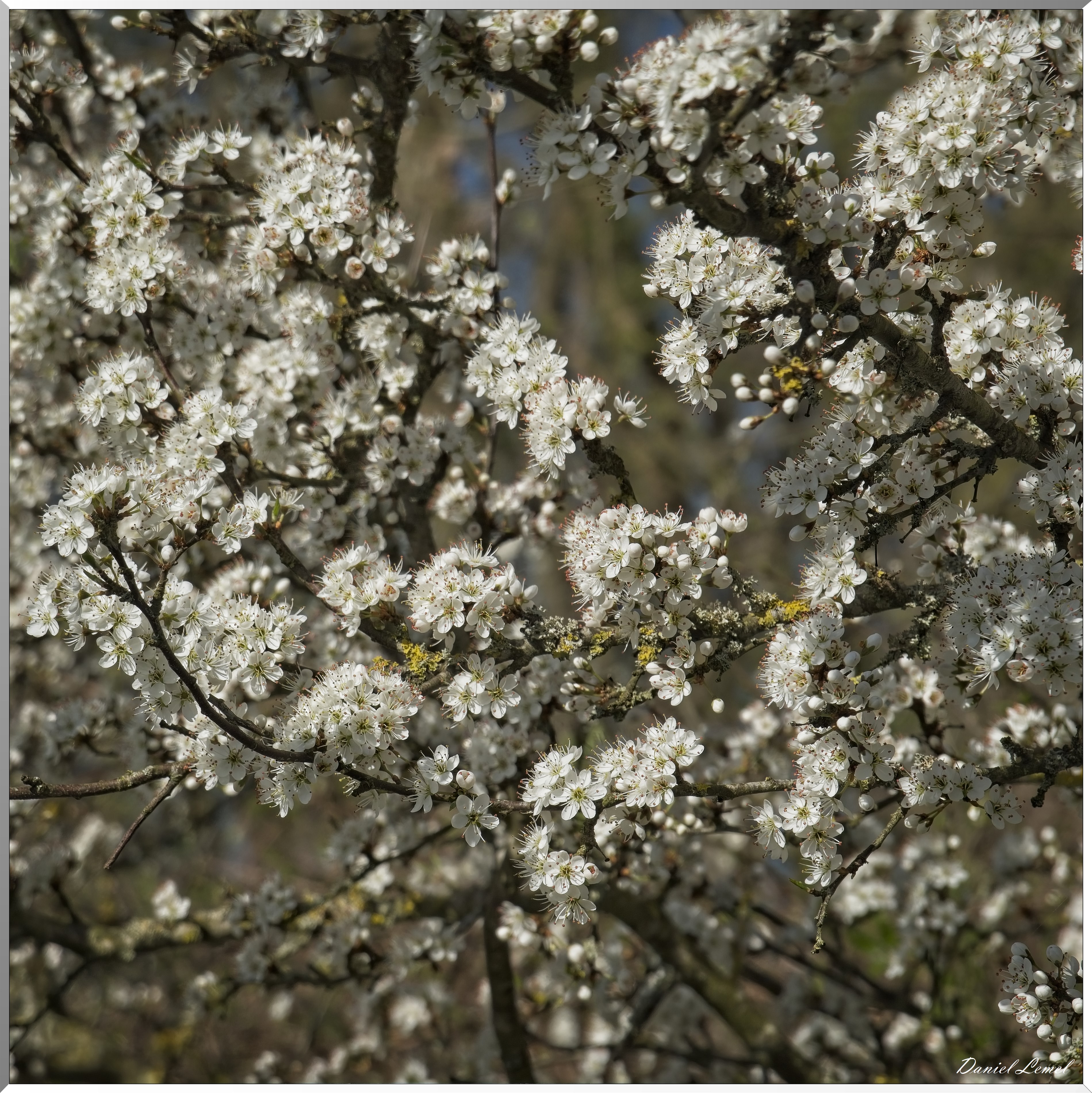 La-Chapelle-Réanville