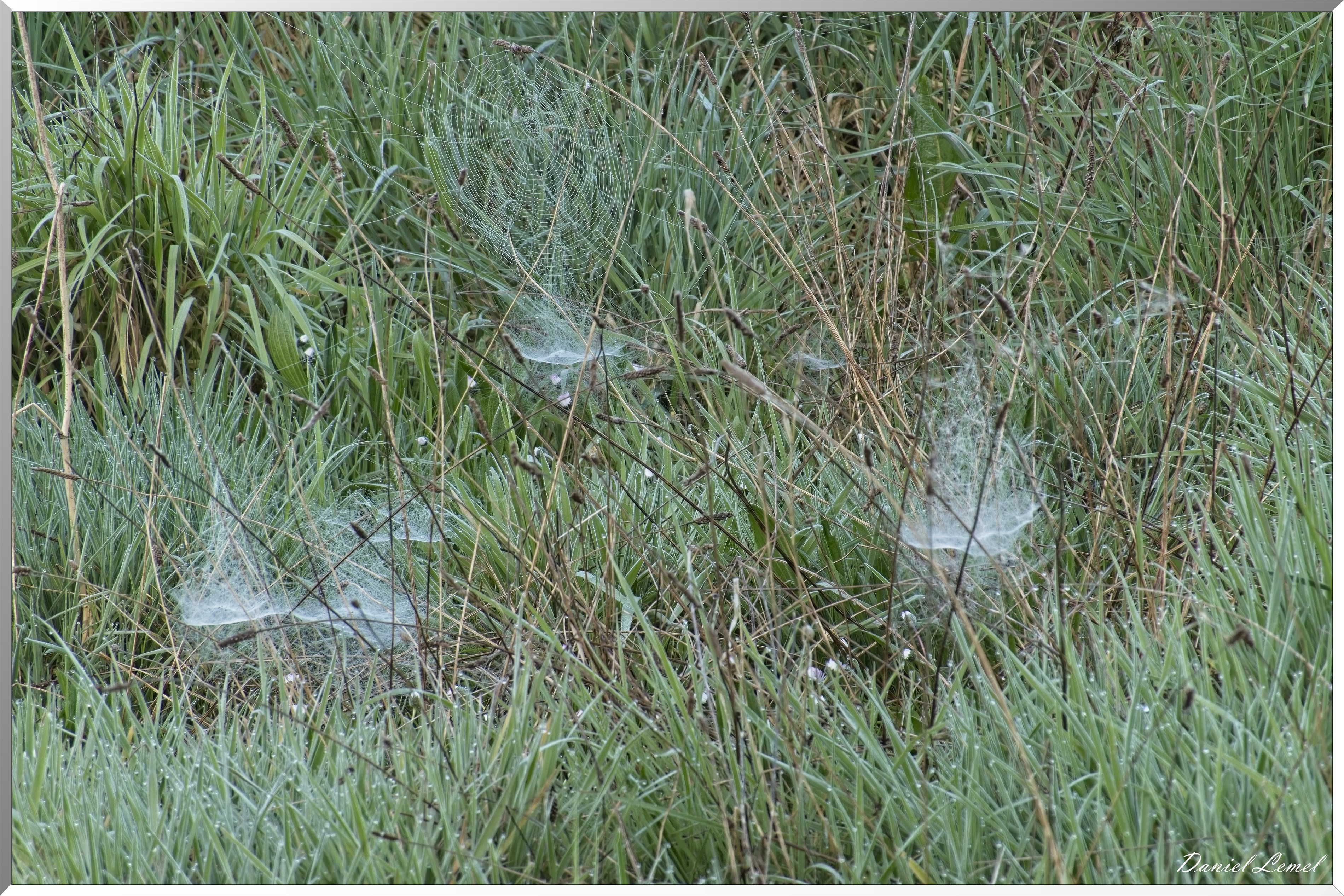 Autheuil-Authouillet