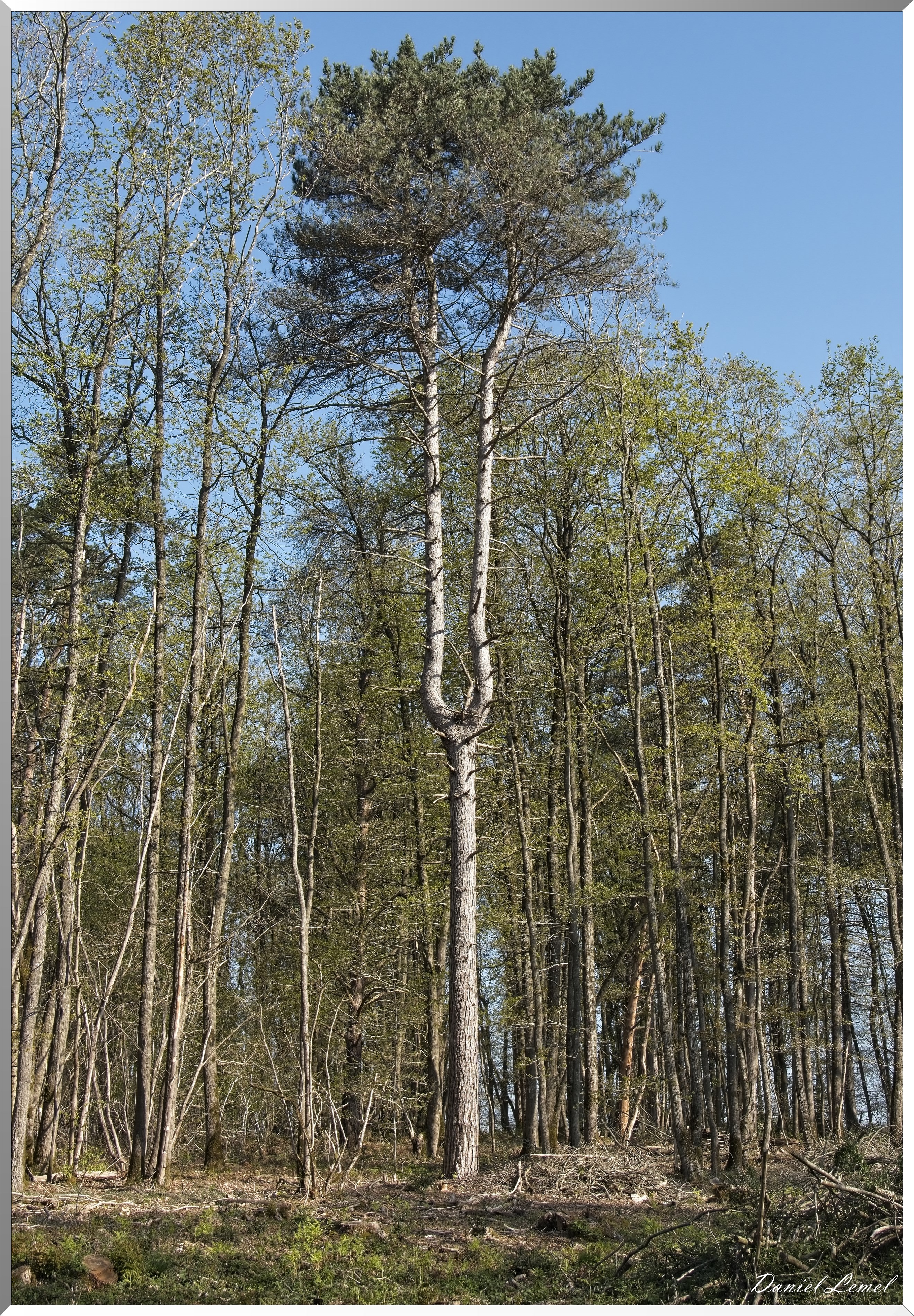 Autheuil-Authouillet