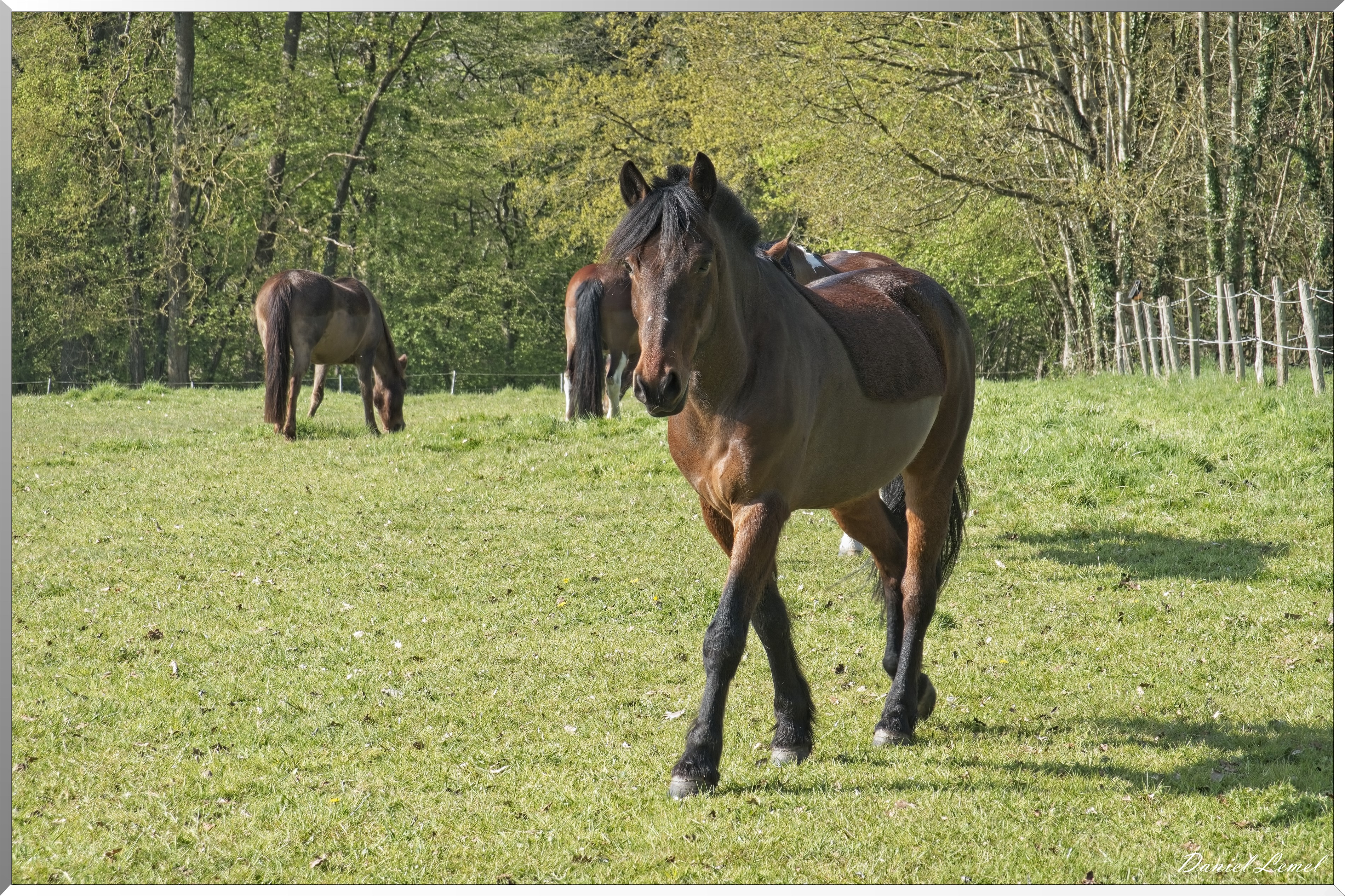 Autheuil-Authouillet