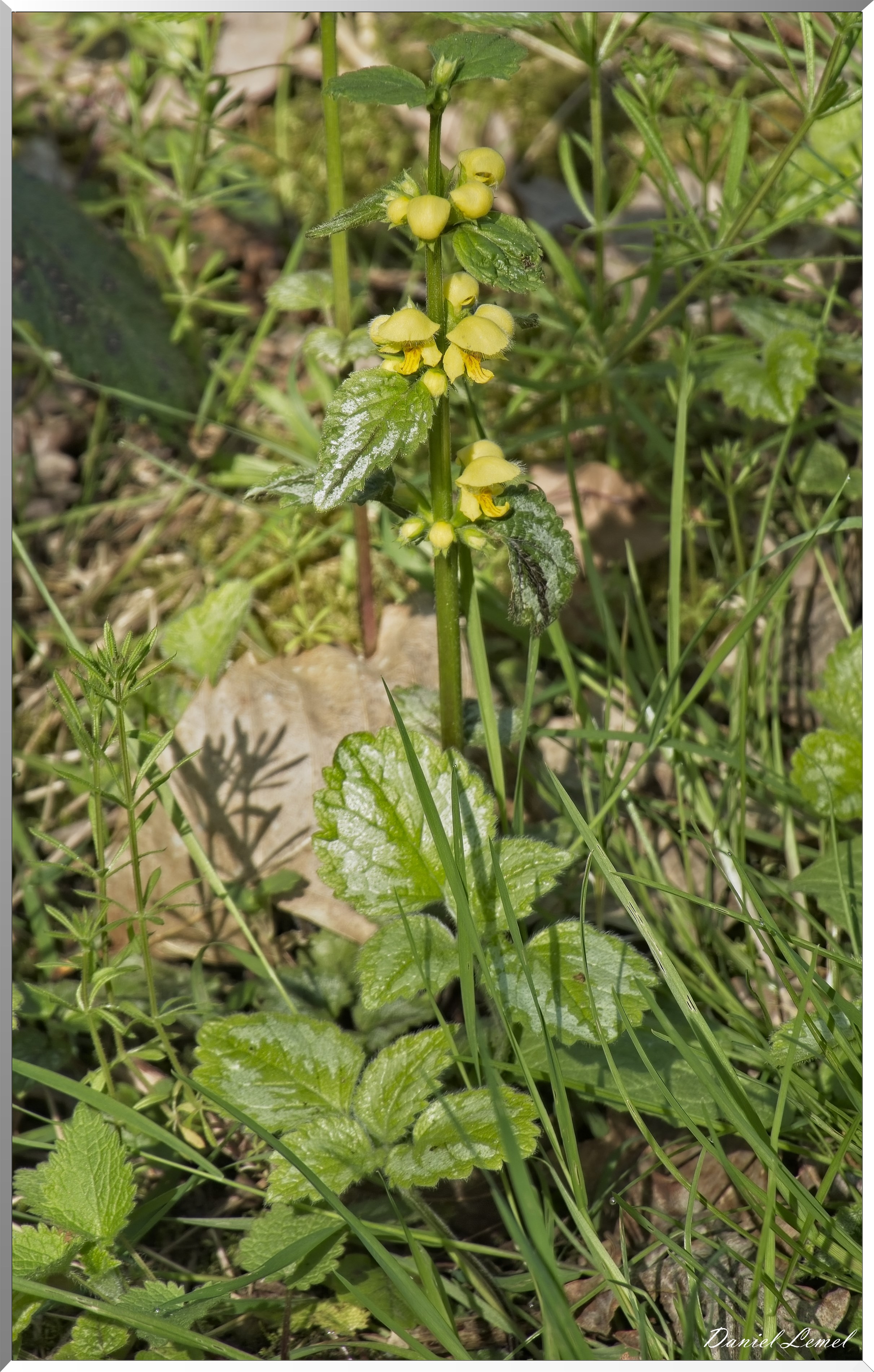 Autheuil-Authouillet