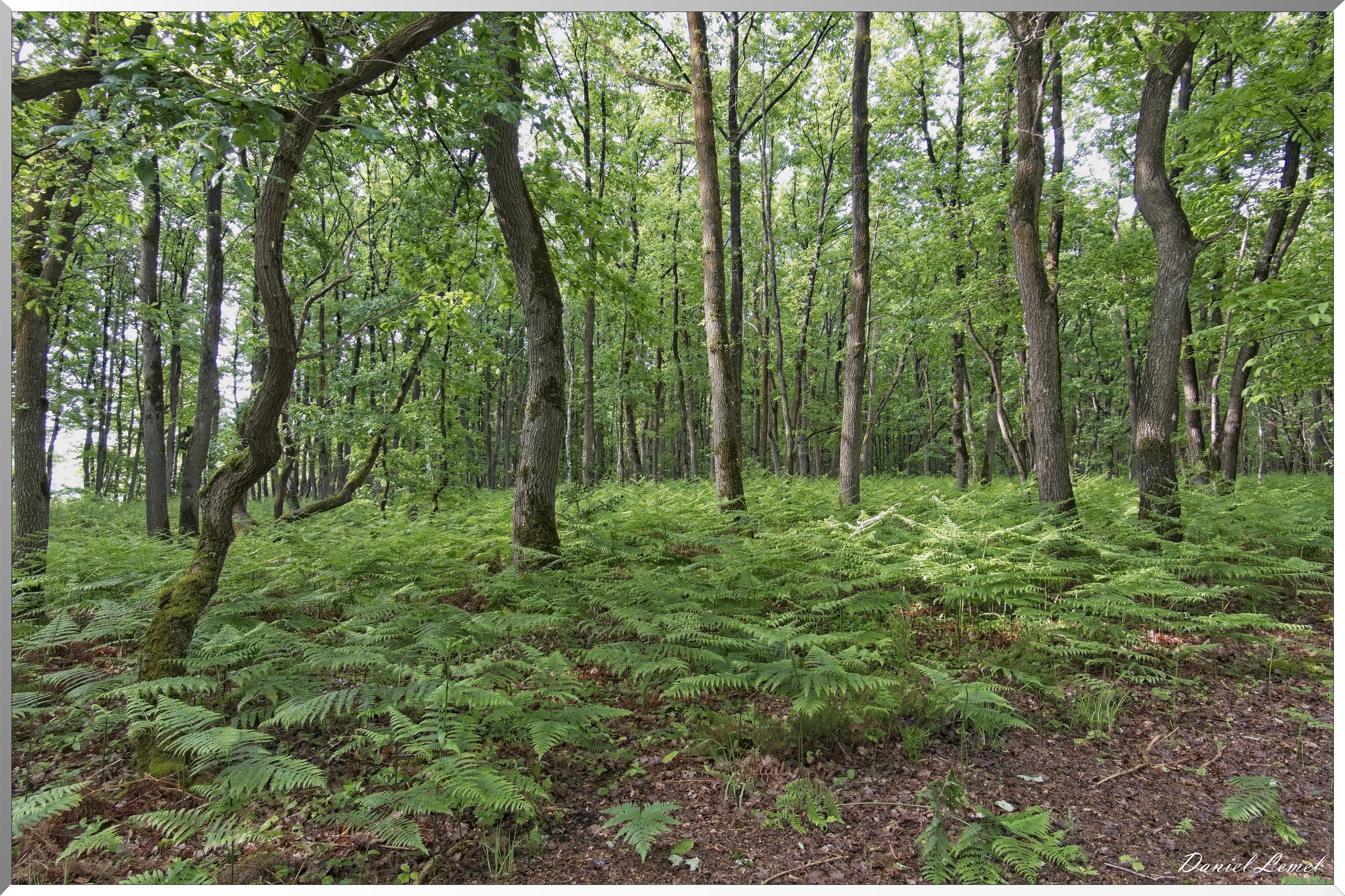 St-Aubin-sur-Gaillon