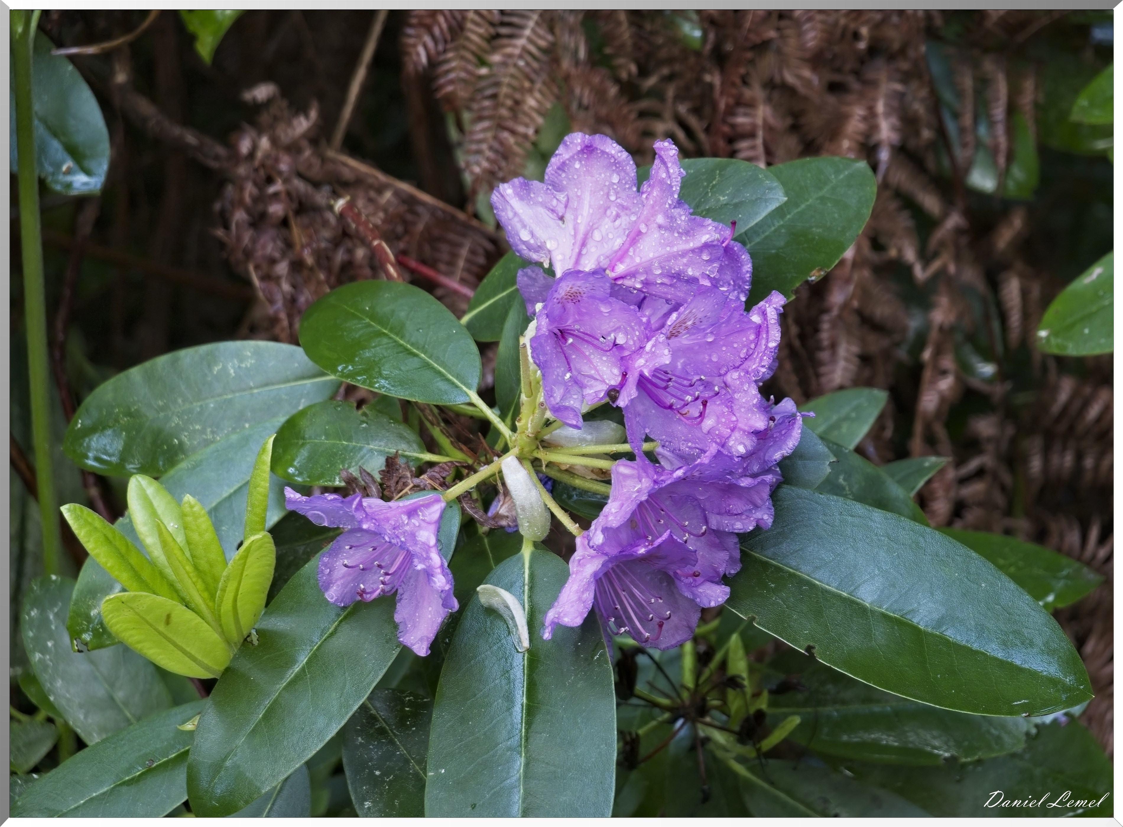 St-Aubin-sur-Gaillon