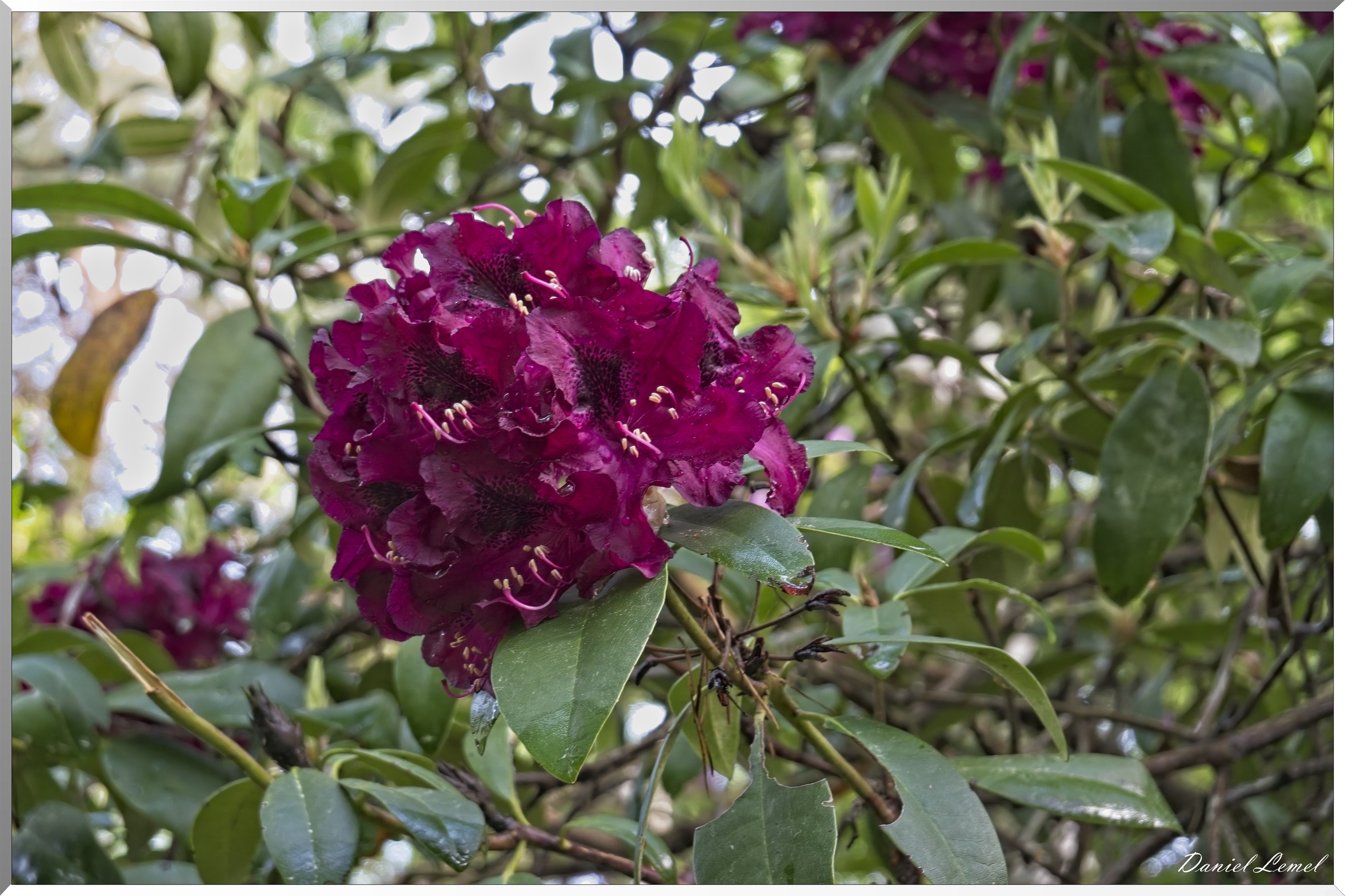 St-Aubin-sur-Gaillon