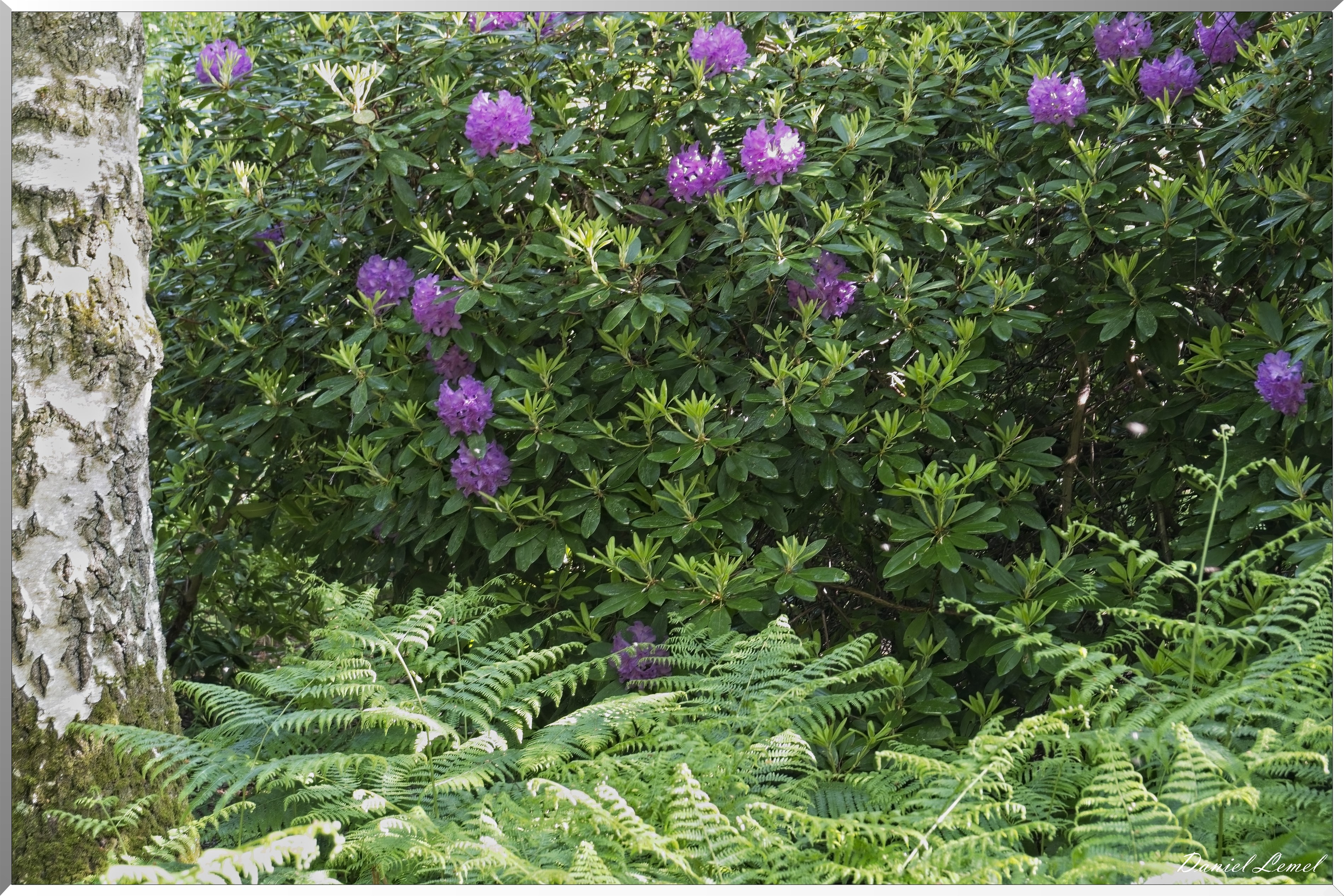 St-Aubin-sur-Gaillon