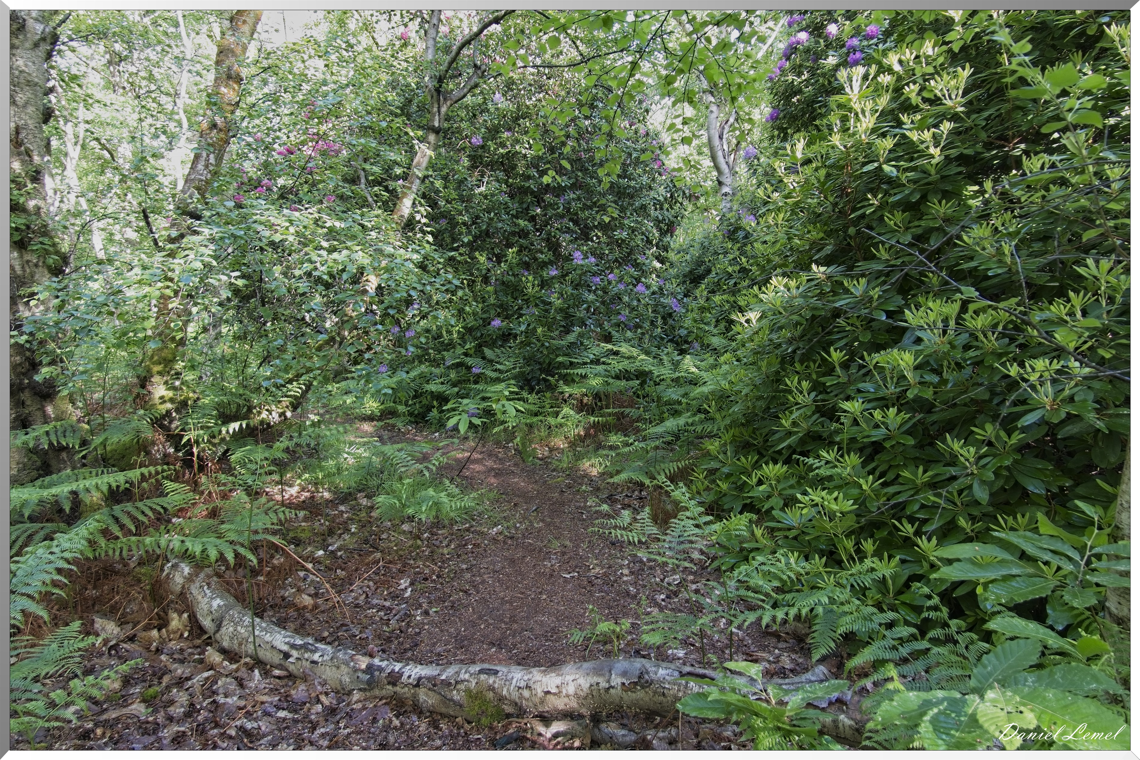 St-Aubin-sur-Gaillon