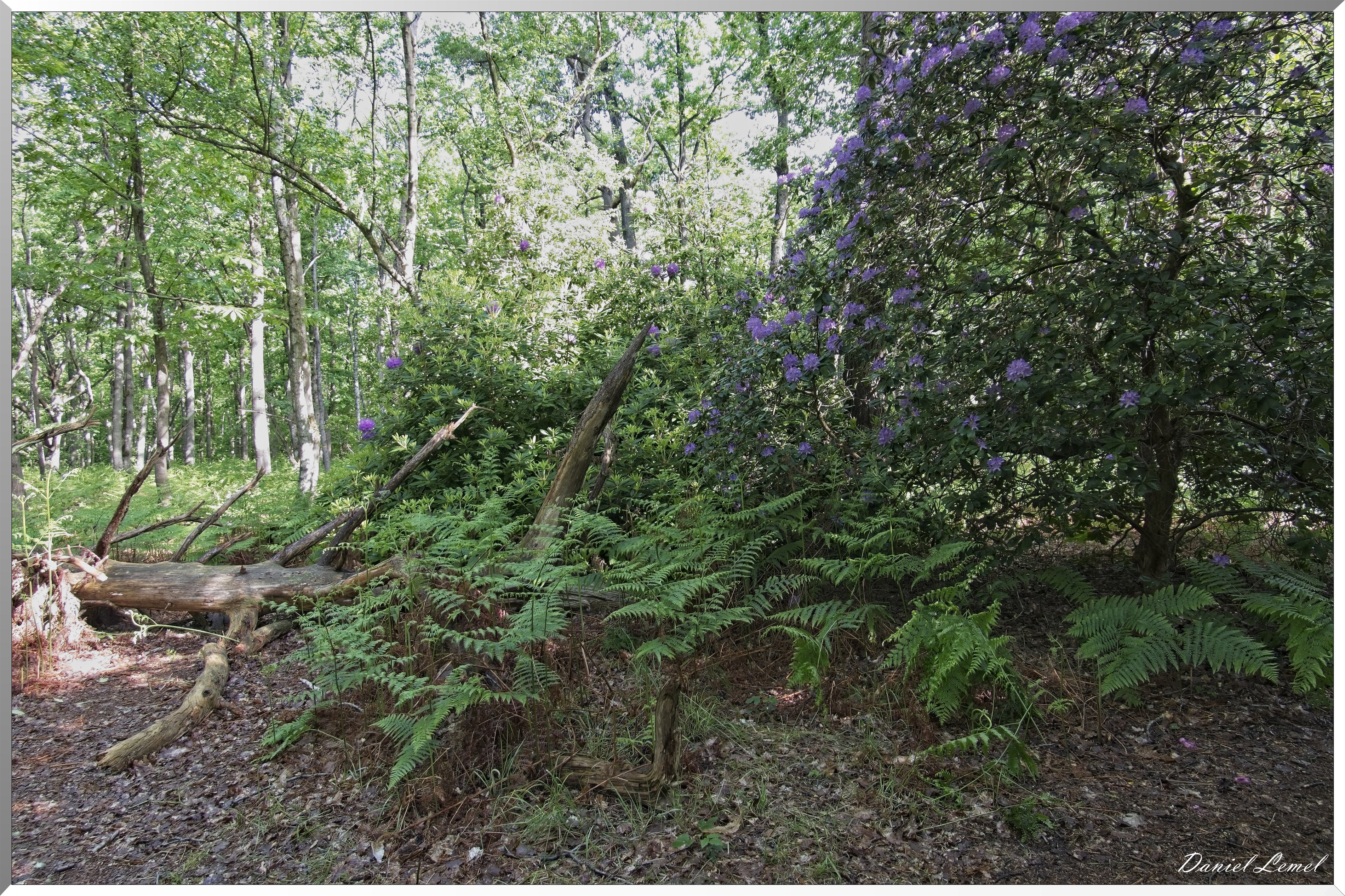 St-Aubin-sur-Gaillon