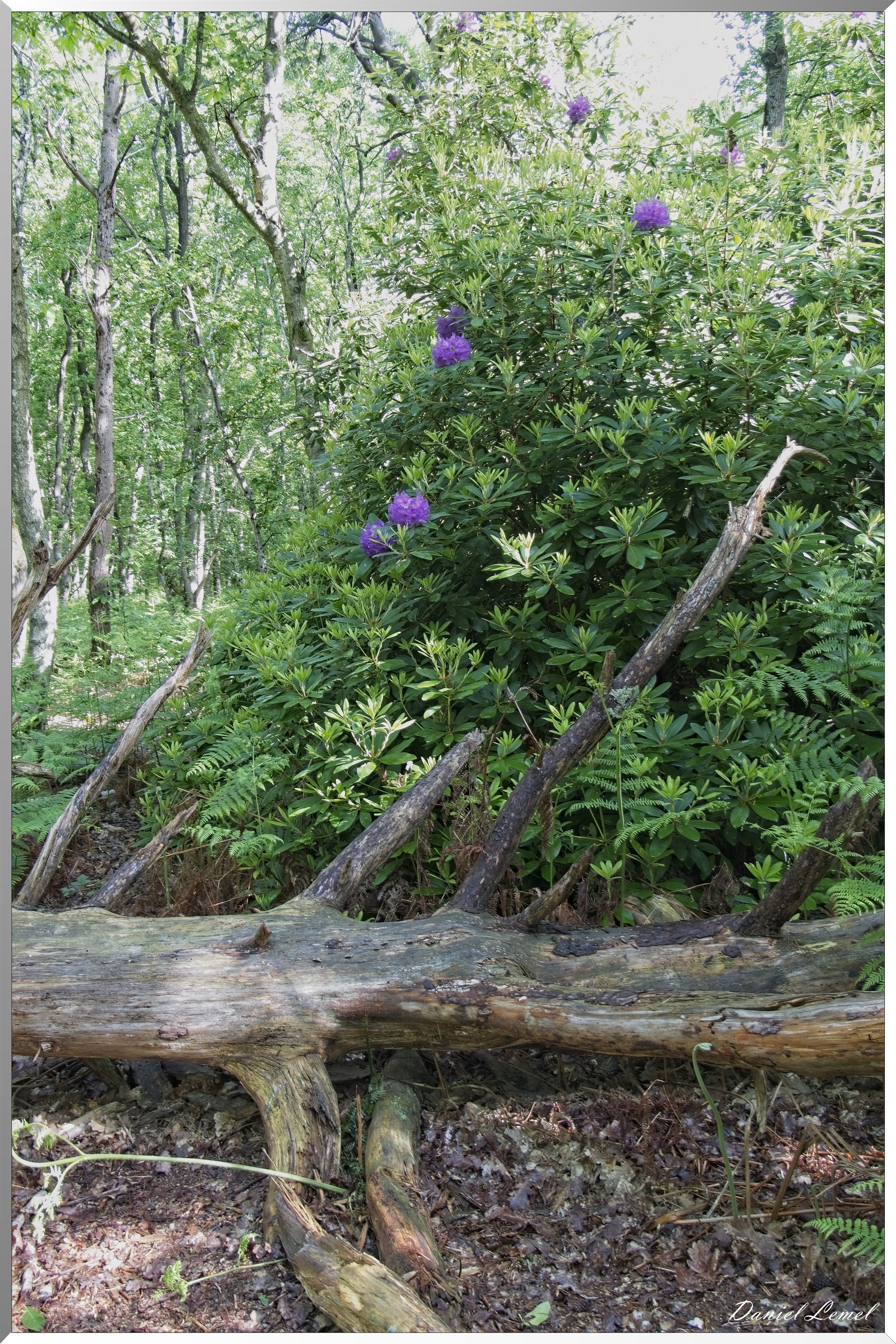 St-Aubin-sur-Gaillon