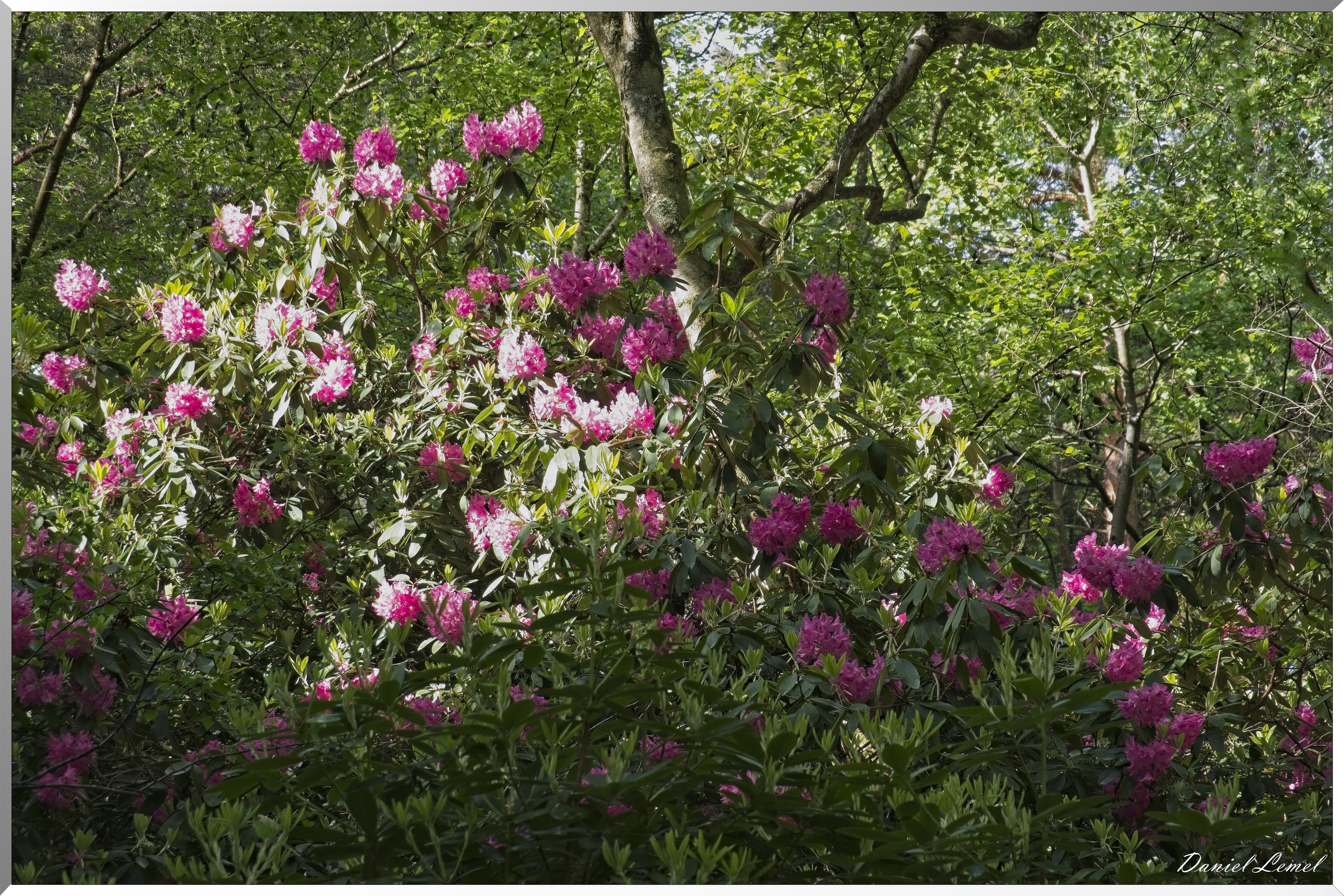 St-Aubin-sur-Gaillon