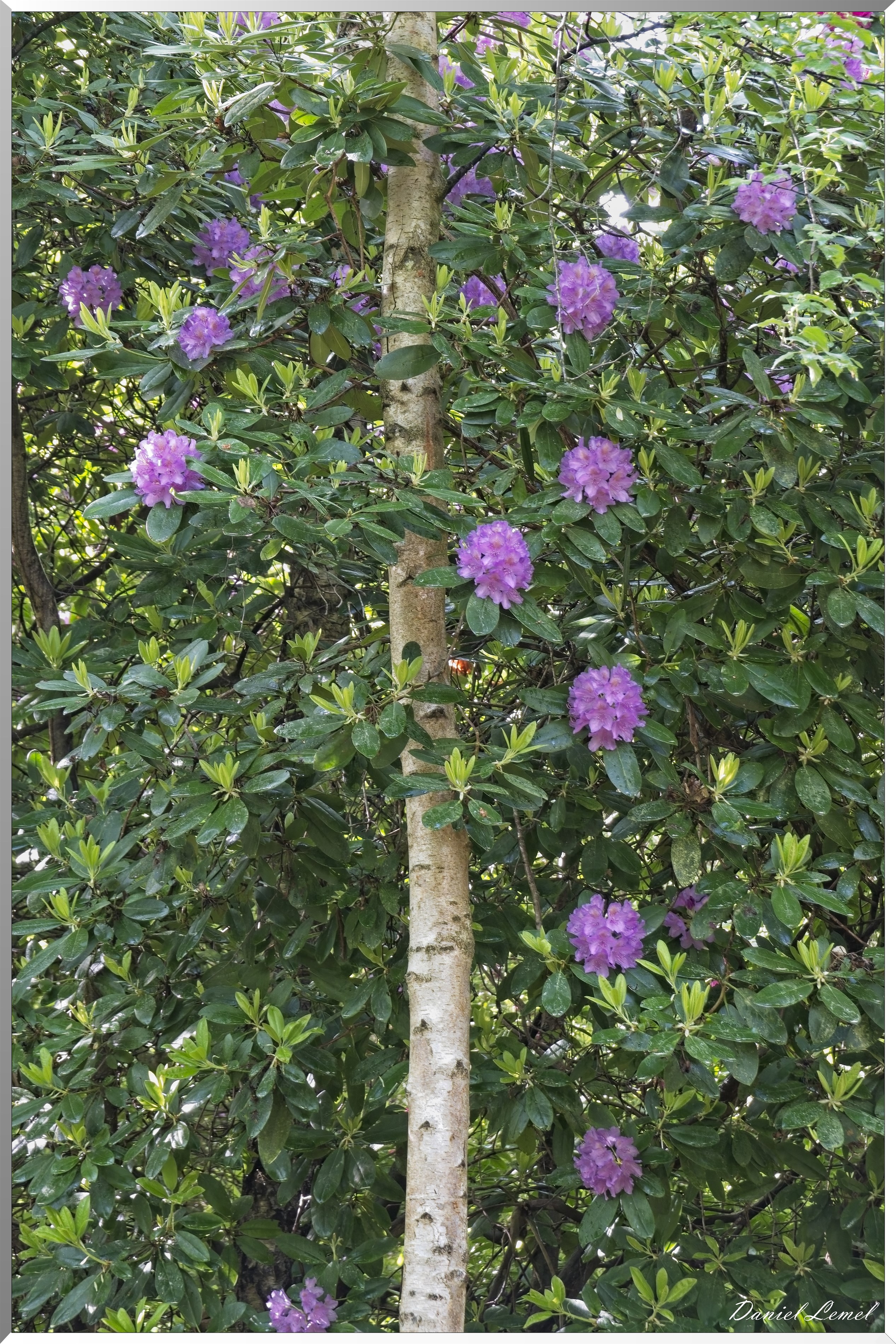 St-Aubin-sur-Gaillon