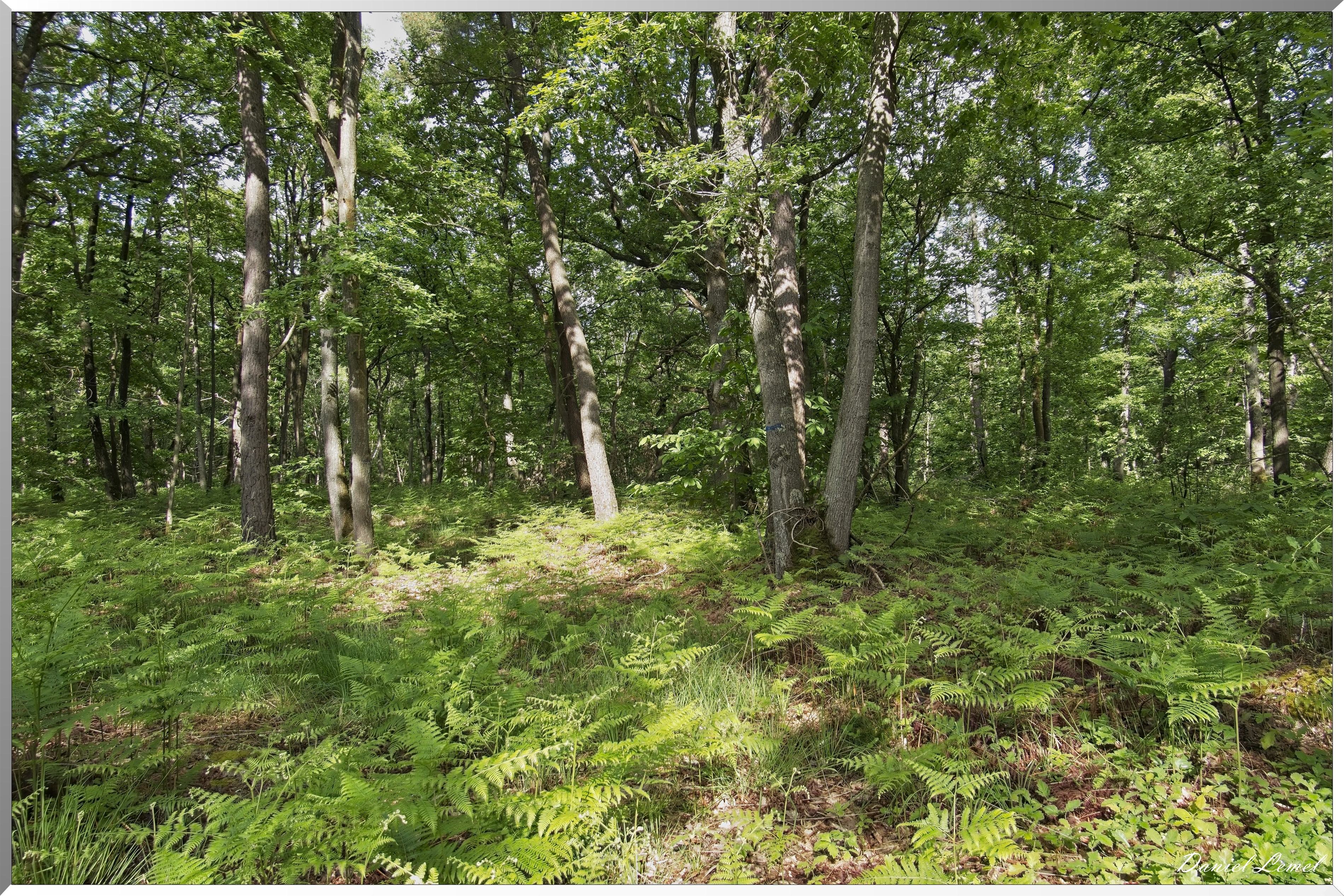 St-Aubin-sur-Gaillon