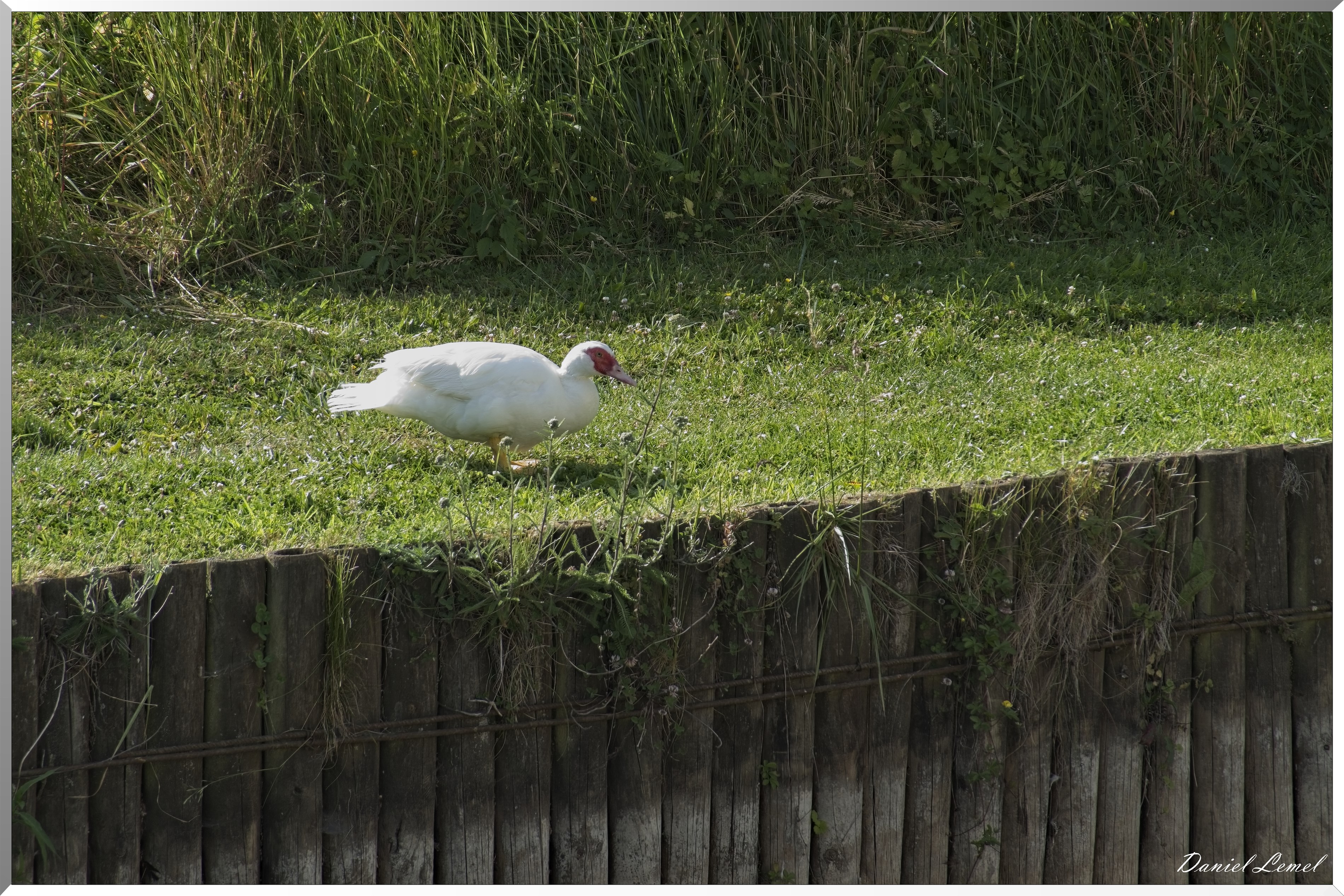 La-Villeneuve-en-Chevrie