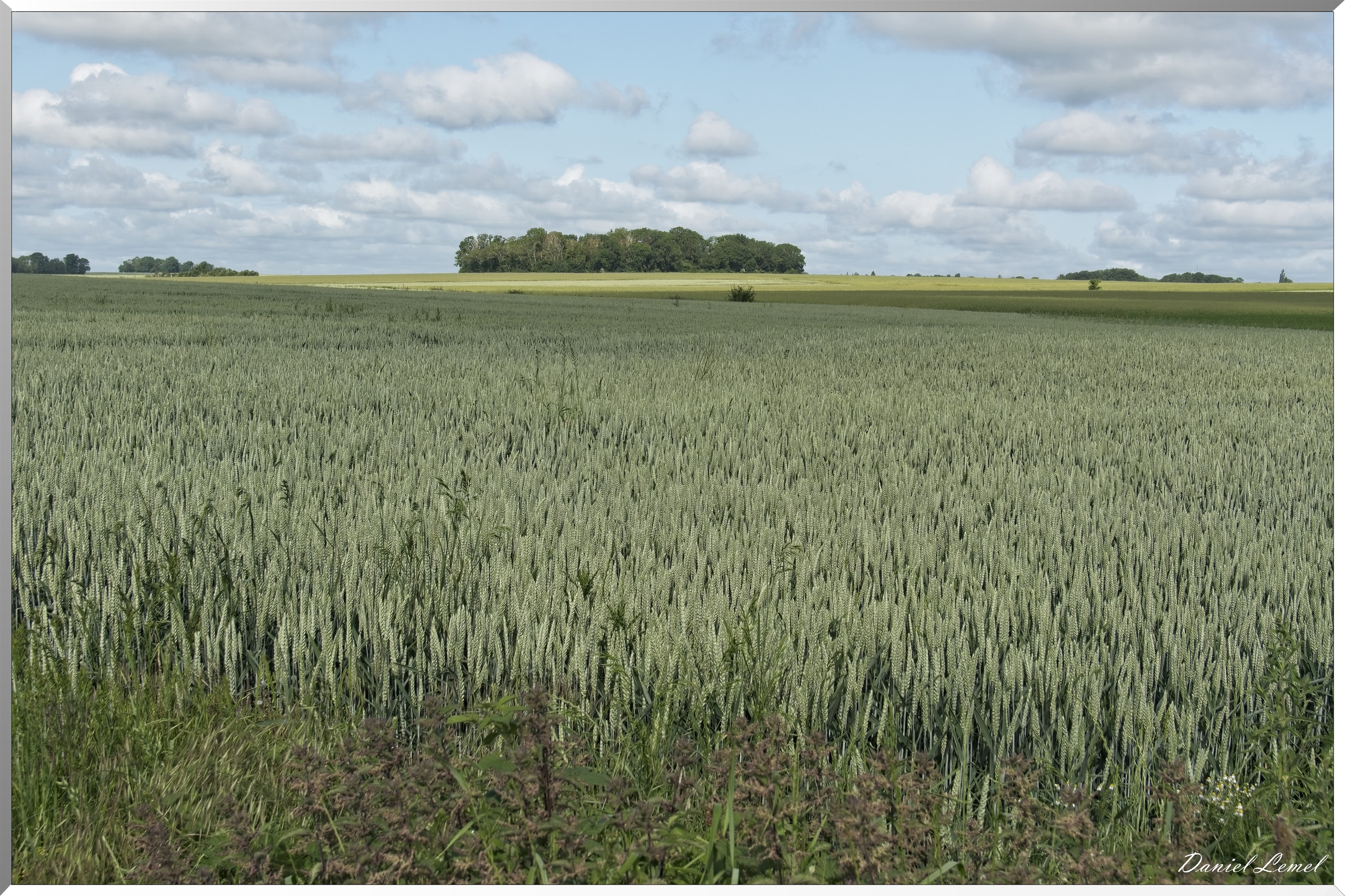 La-Villeneuve-en-Chevrie