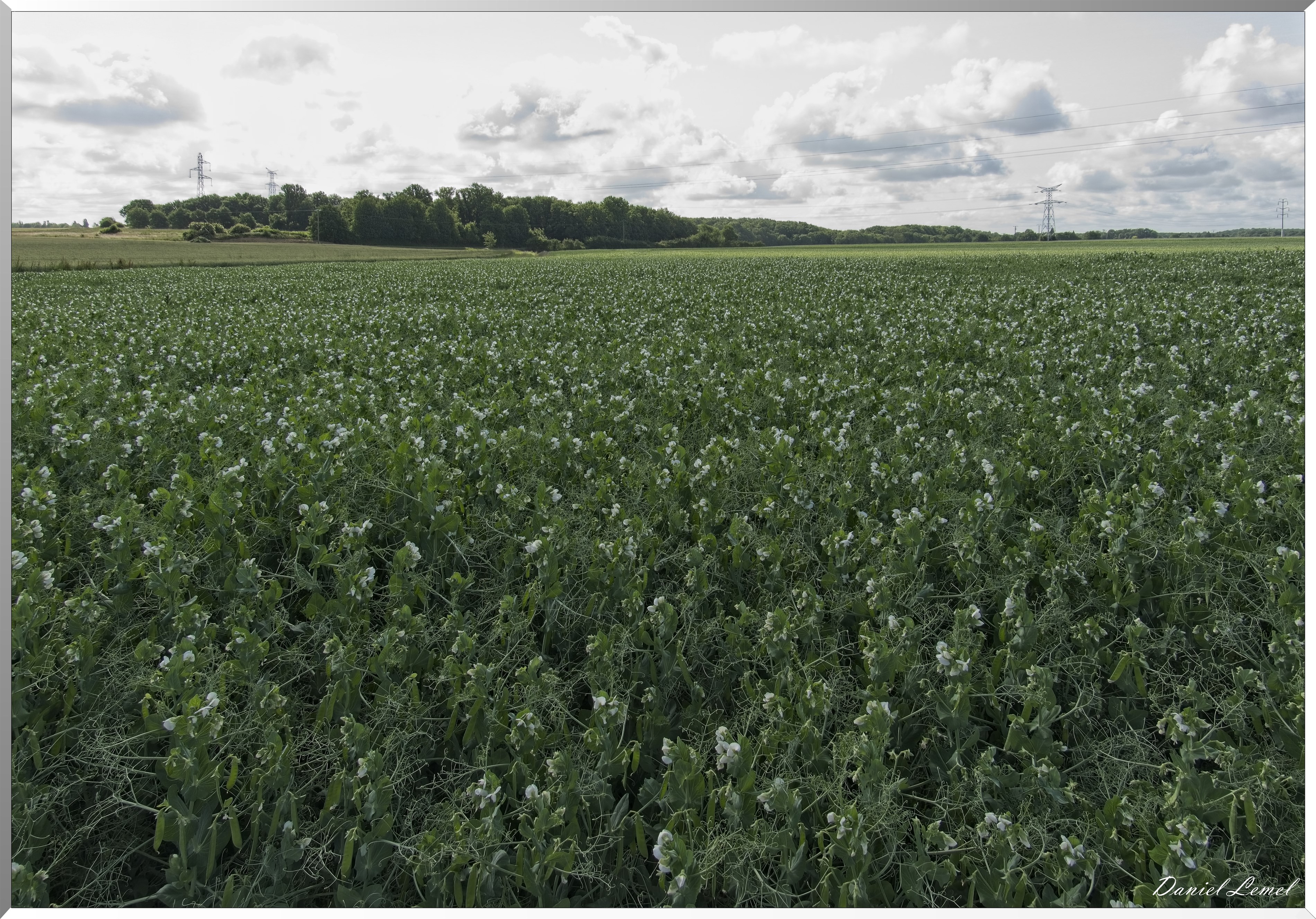 La-Villeneuve-en-Chevrie