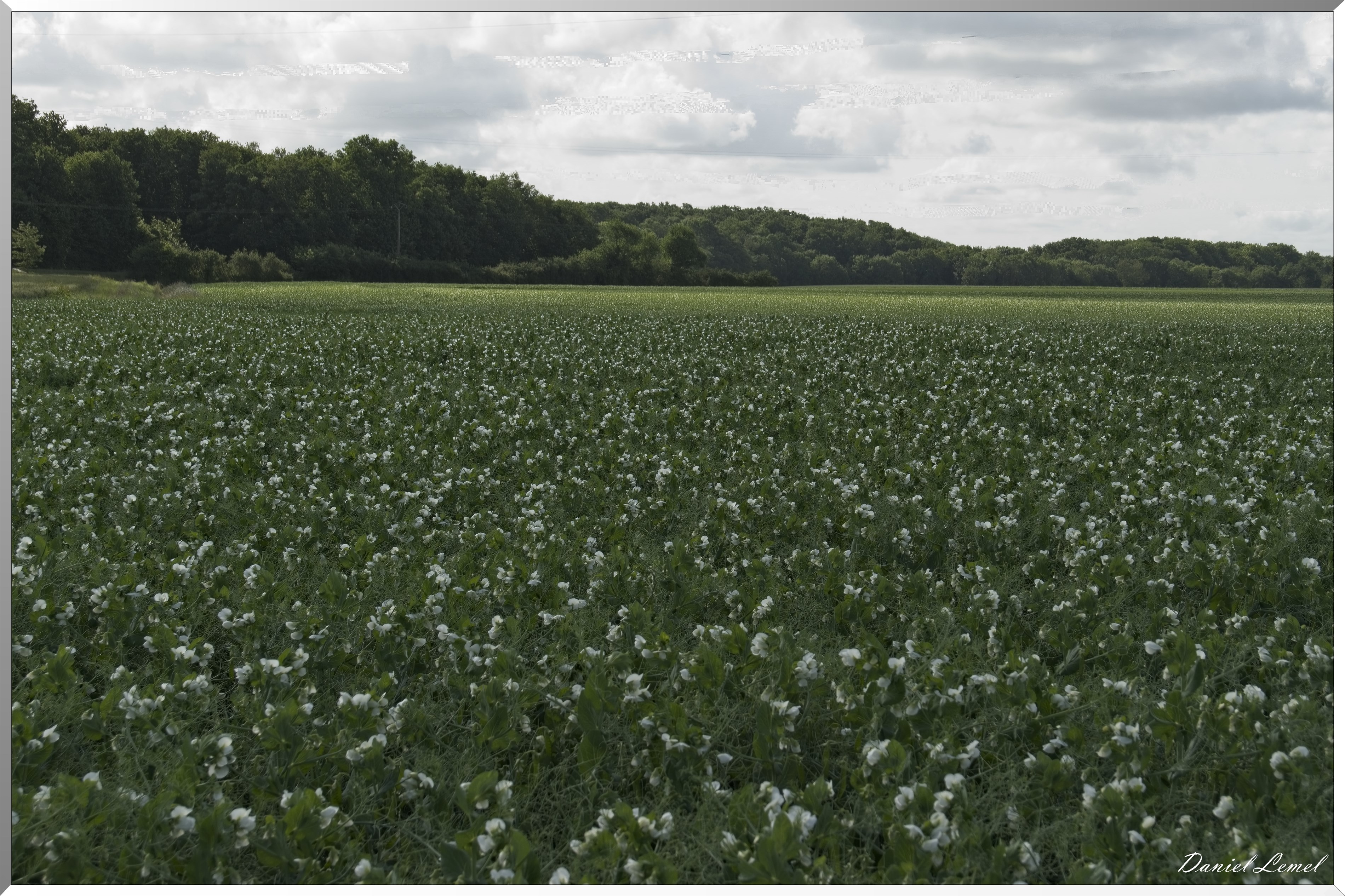 La-Villeneuve-en-Chevrie