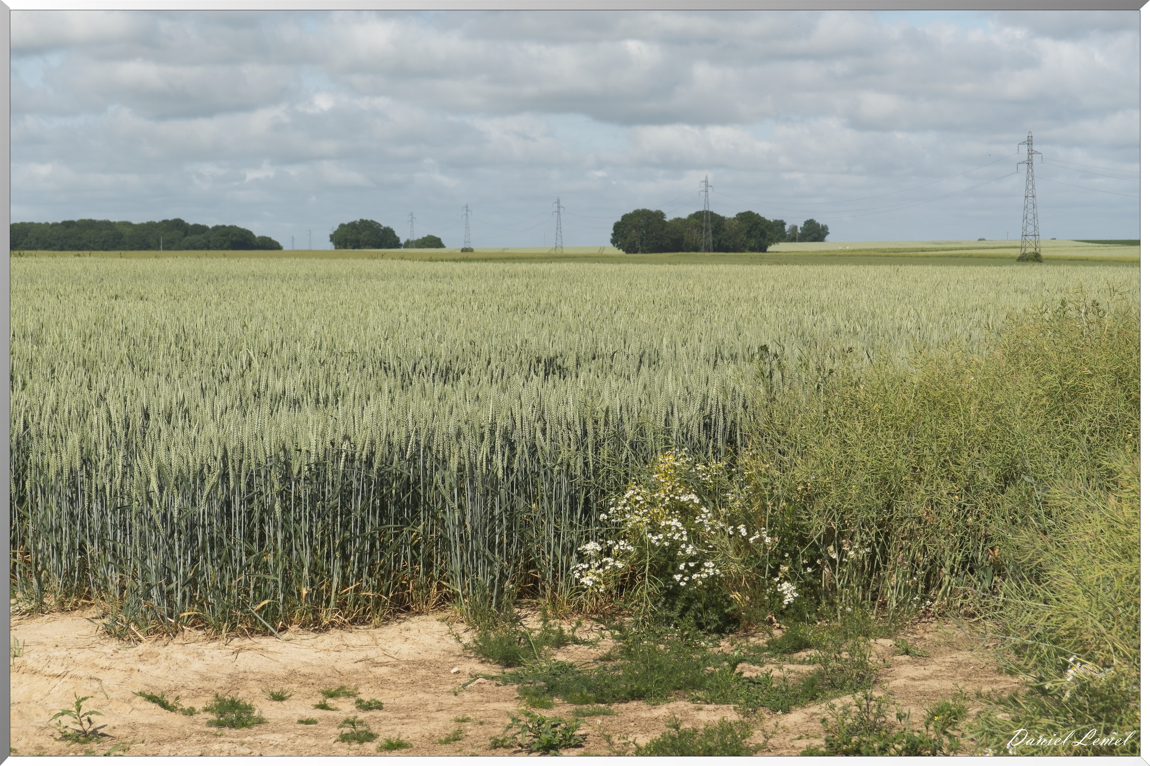 La-Villeneuve-en-Chevrie
