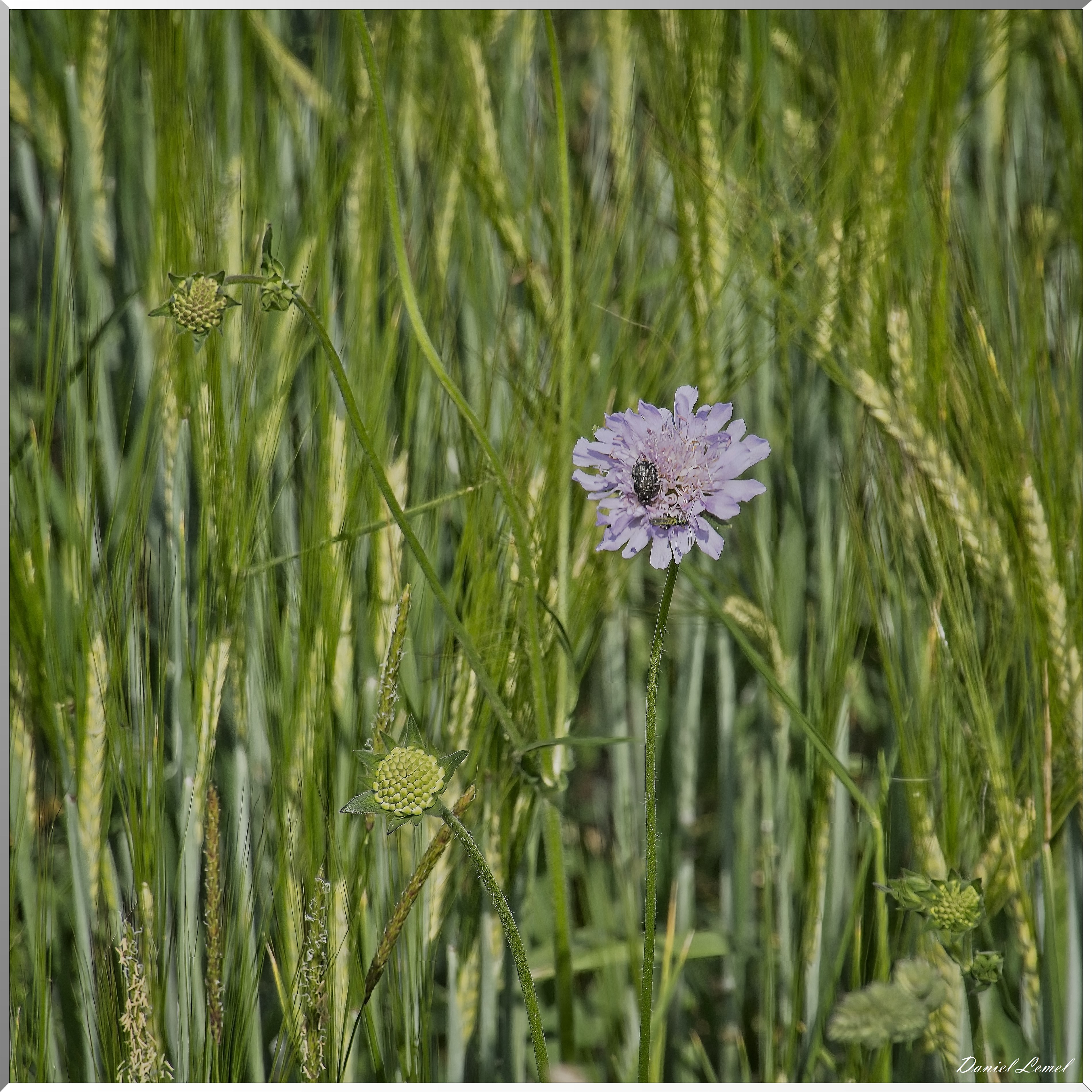 La-Villeneuve-en-Chevrie