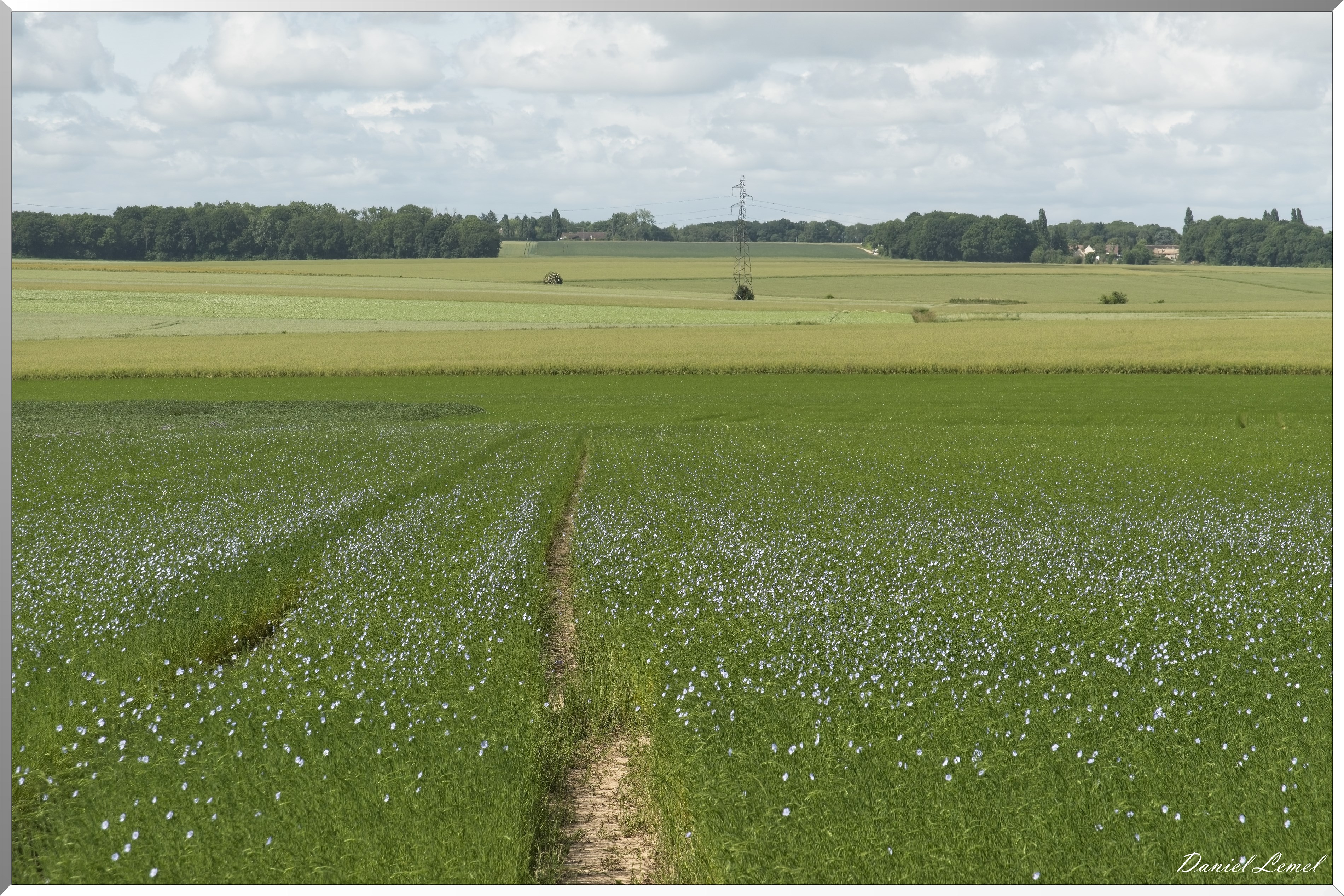 La-Villeneuve-en-Chevrie