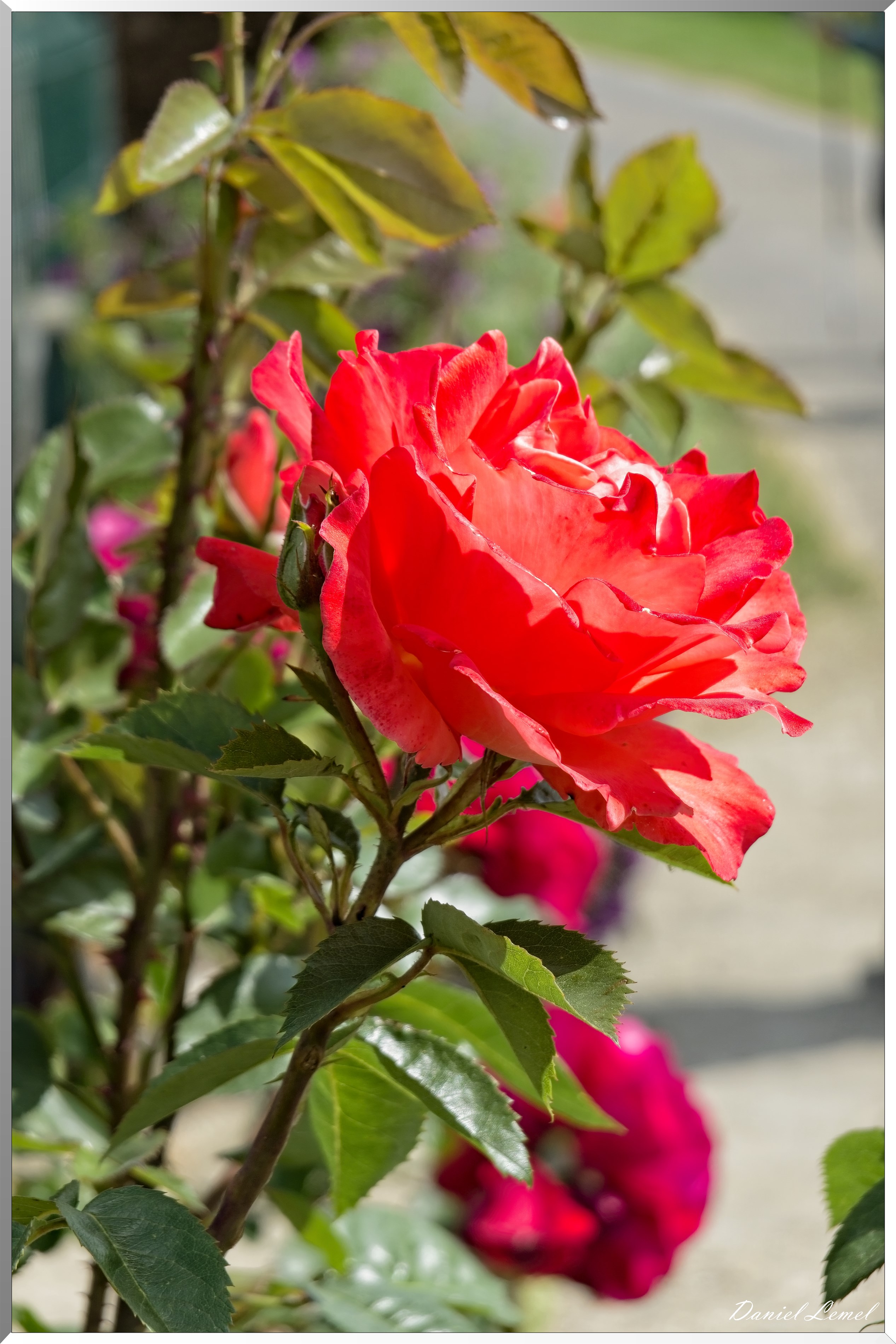 La-Villeneuve-en-Chevrie