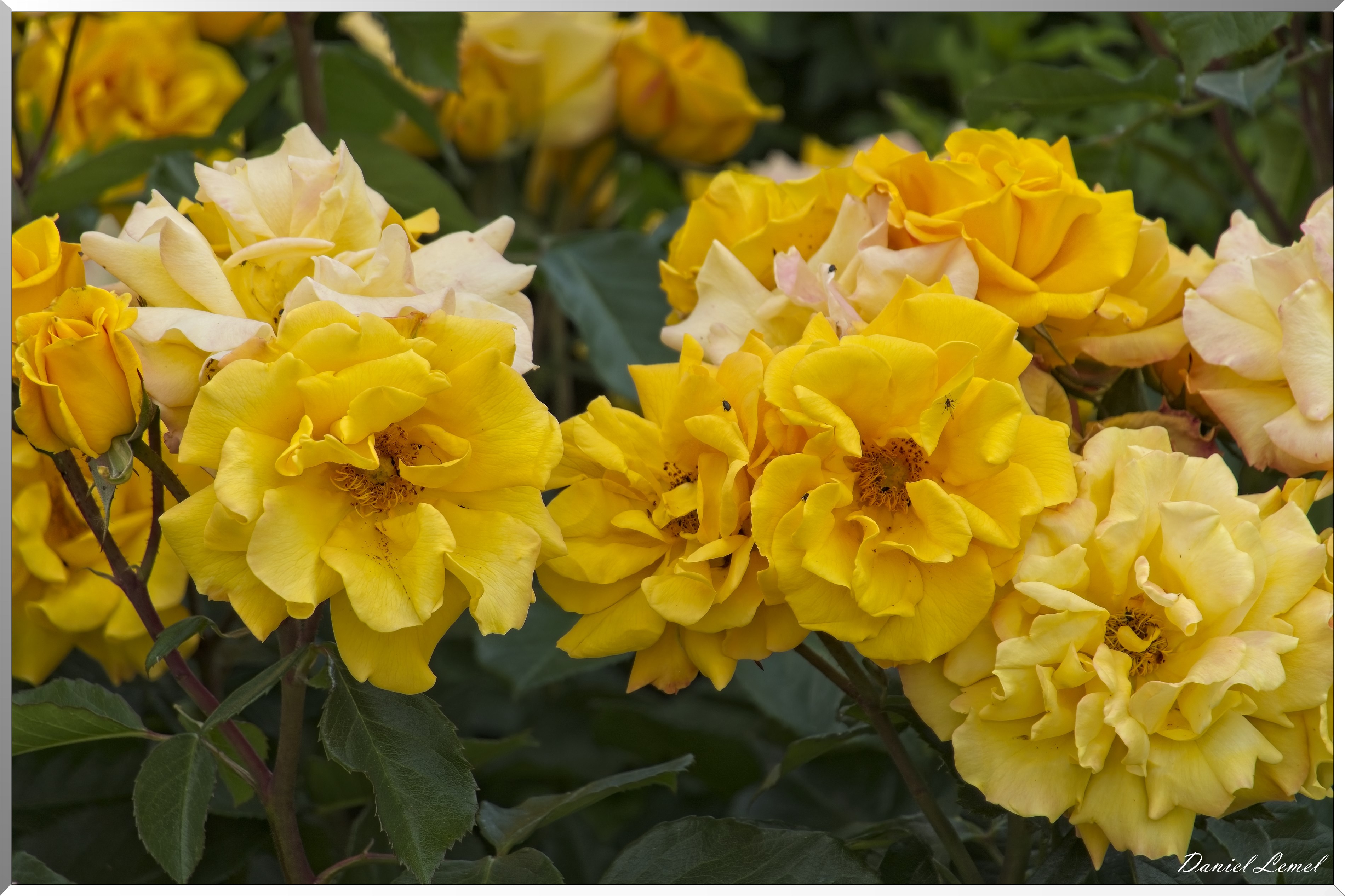 La-Villeneuve-en-Chevrie